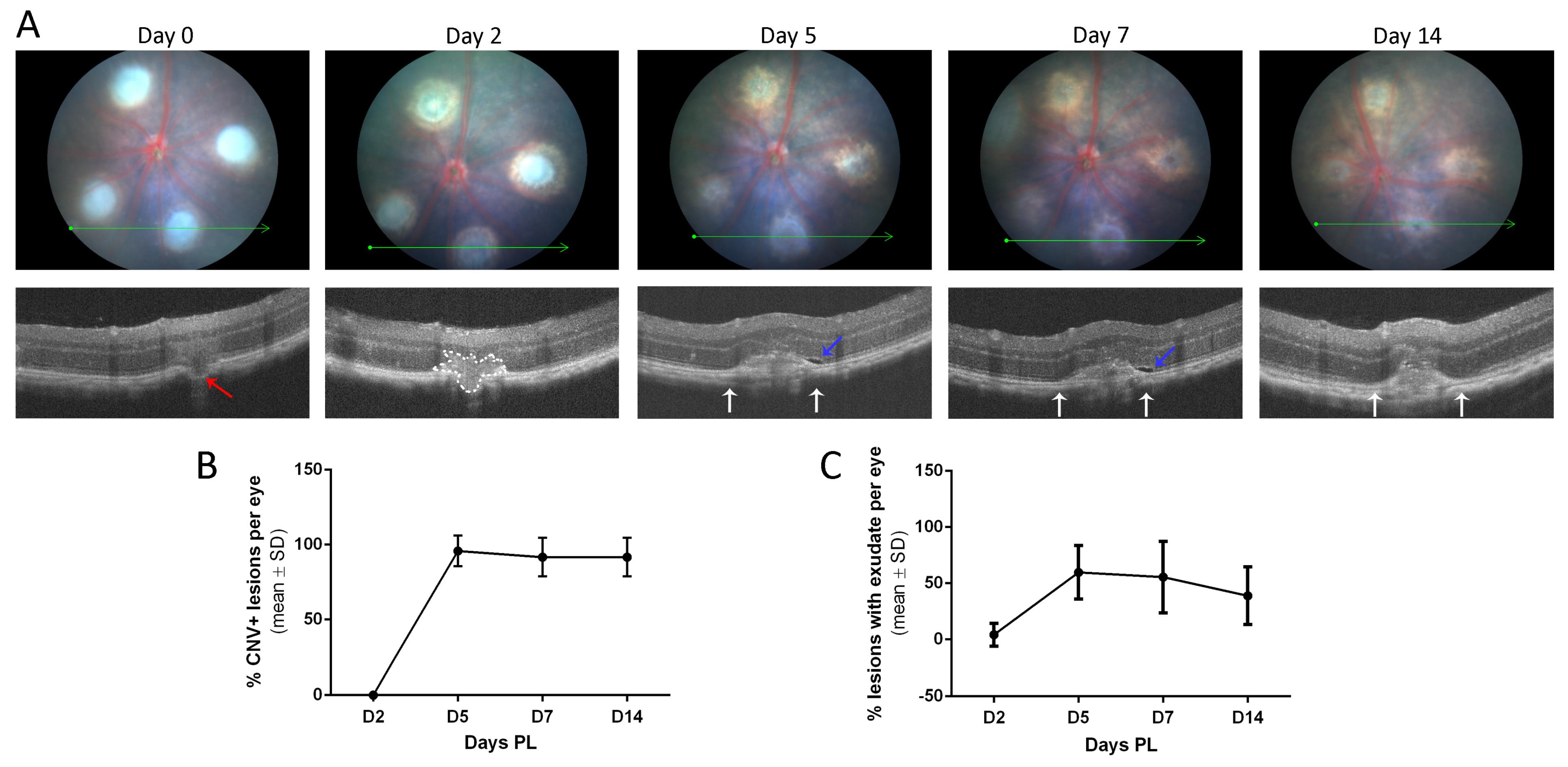 Biomedicines 11 02445 g002 Biomedicines 11 02445 g002