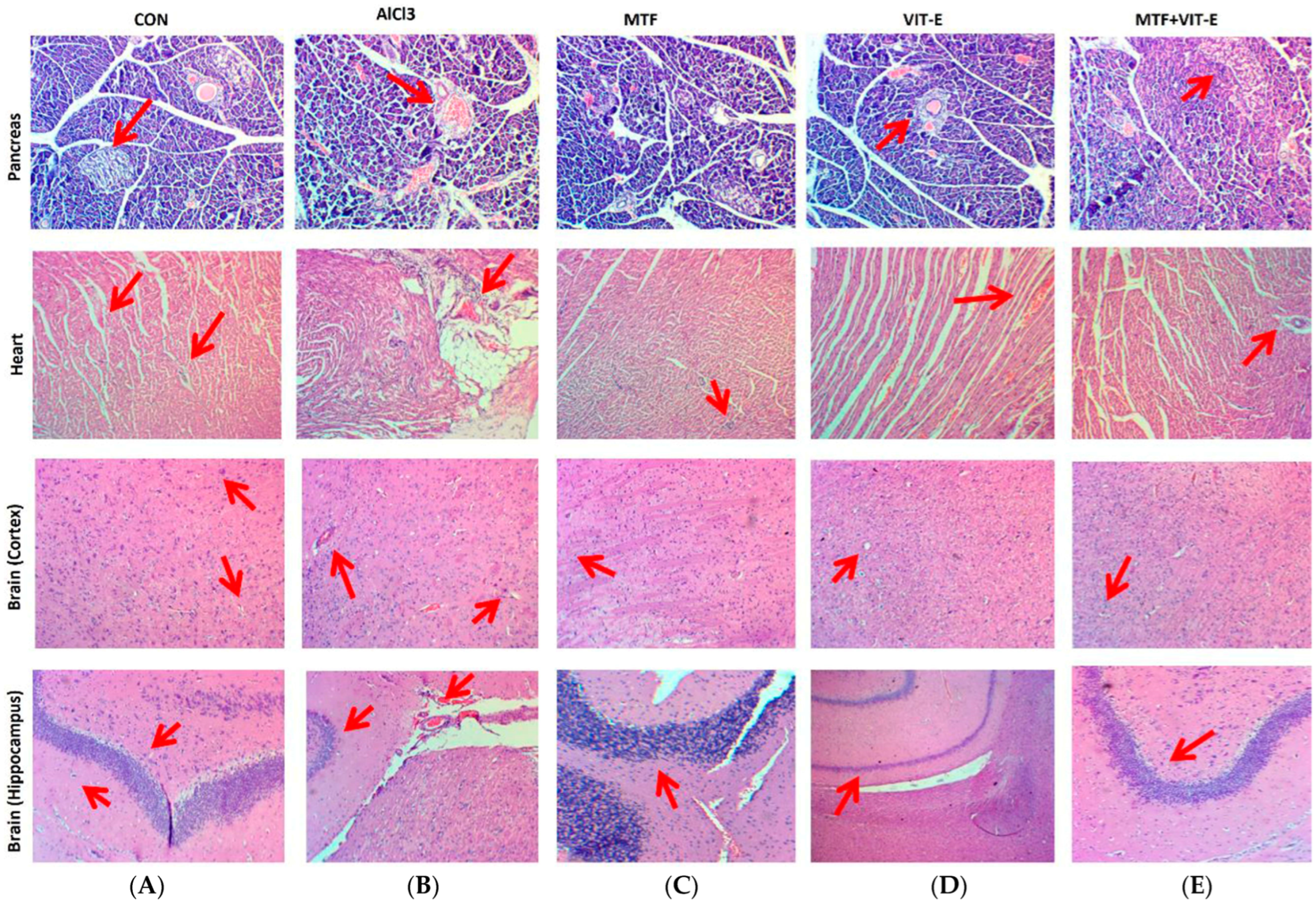 Biomedicines 11 02453 g005