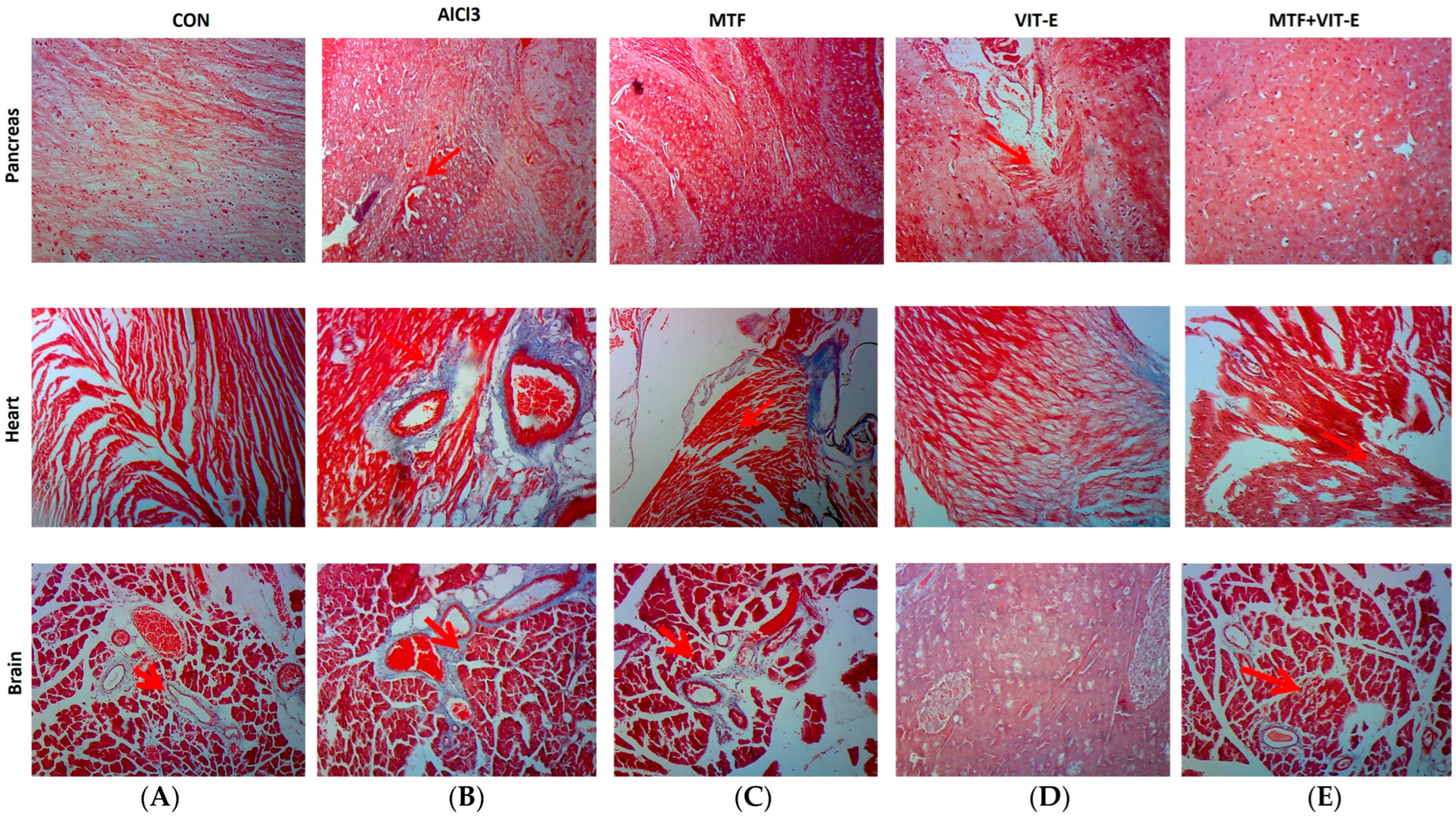 Biomedicines 11 02453 g006