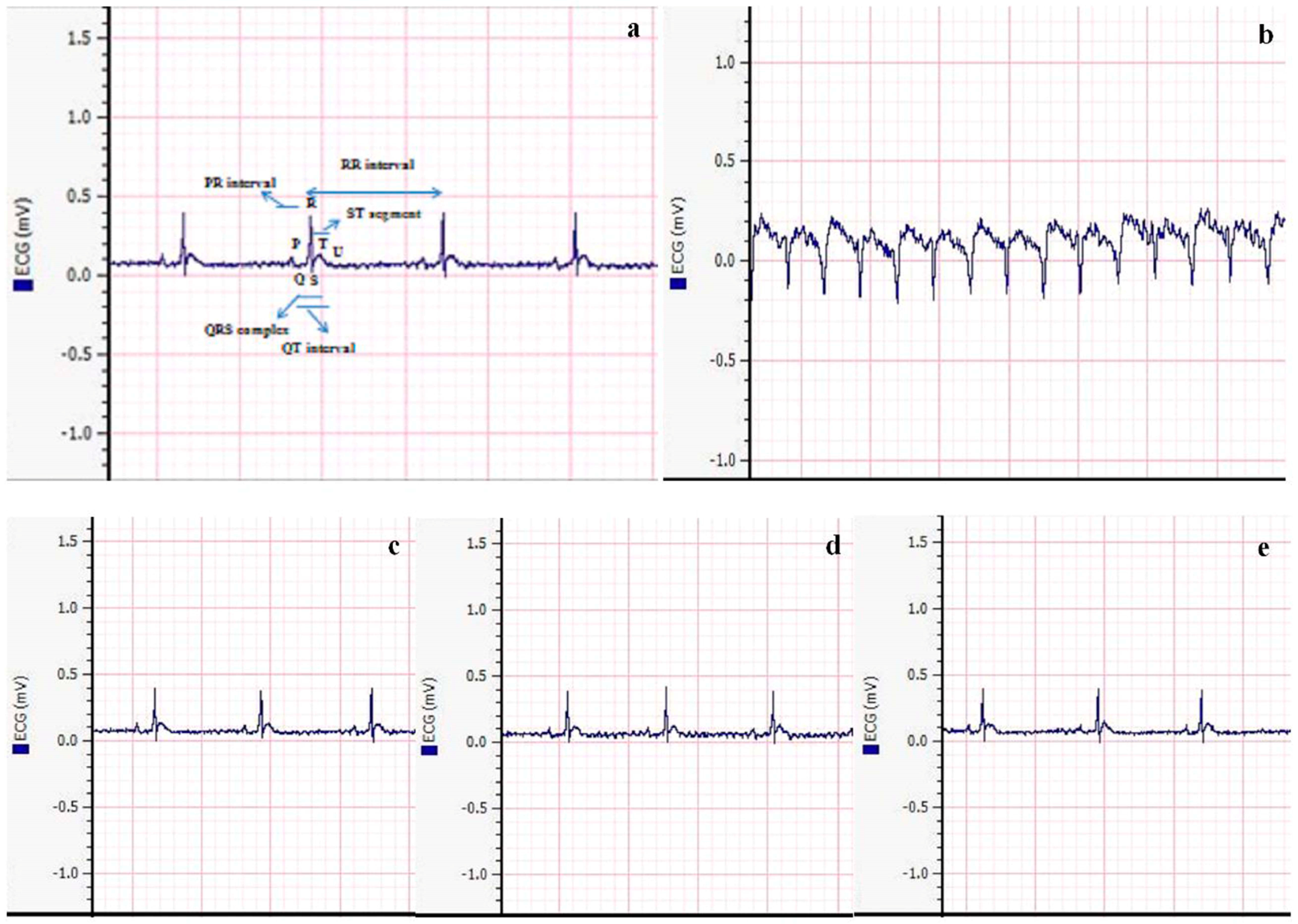 Biomedicines 11 02453 g007