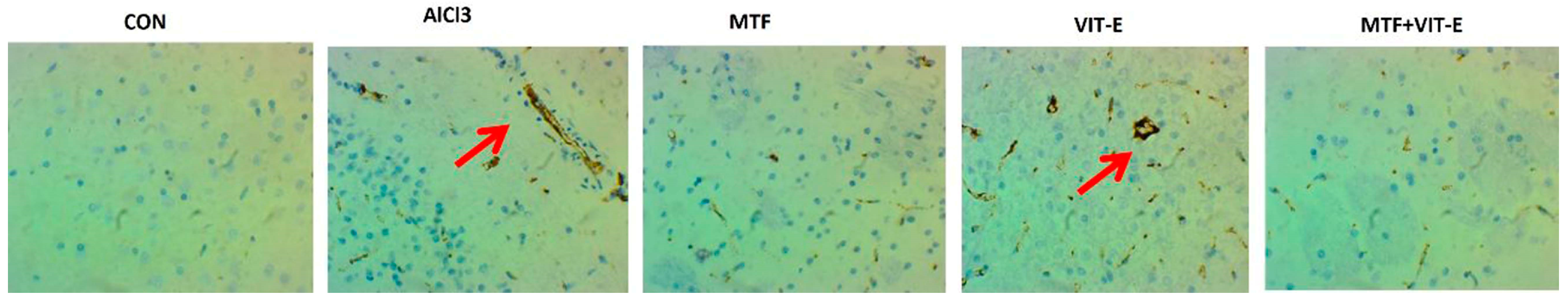 Biomedicines 11 02453 g008