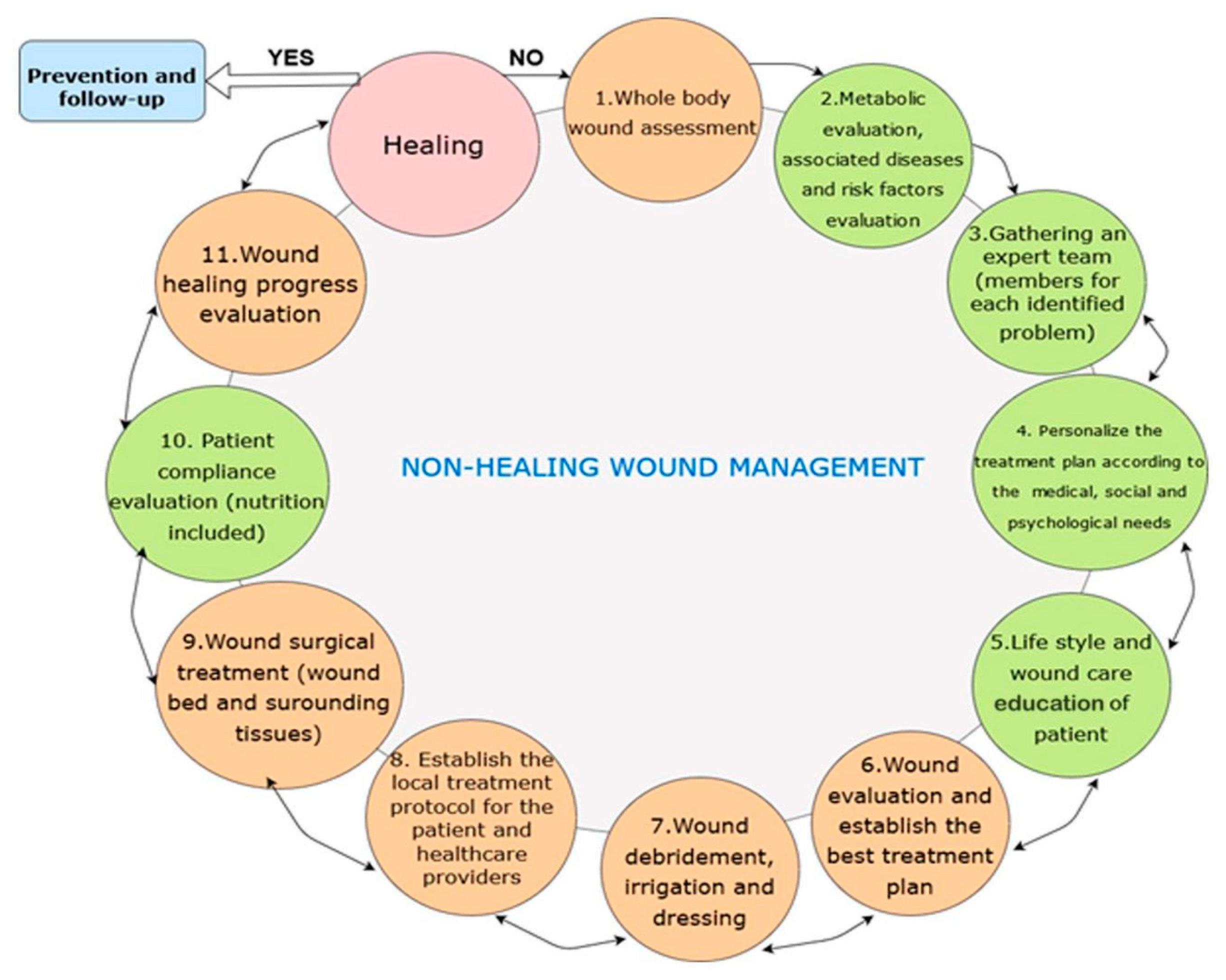 Biomedicines 11 02457 g003
