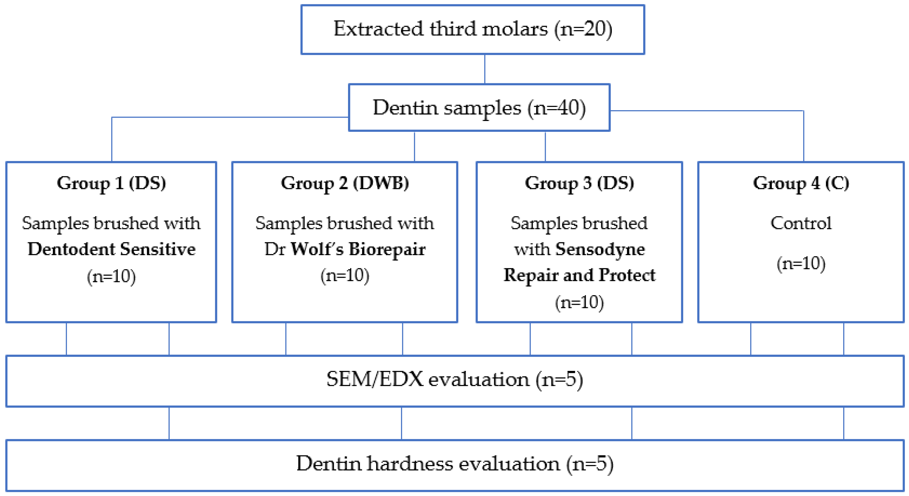 Biomedicines 11 02464 g001