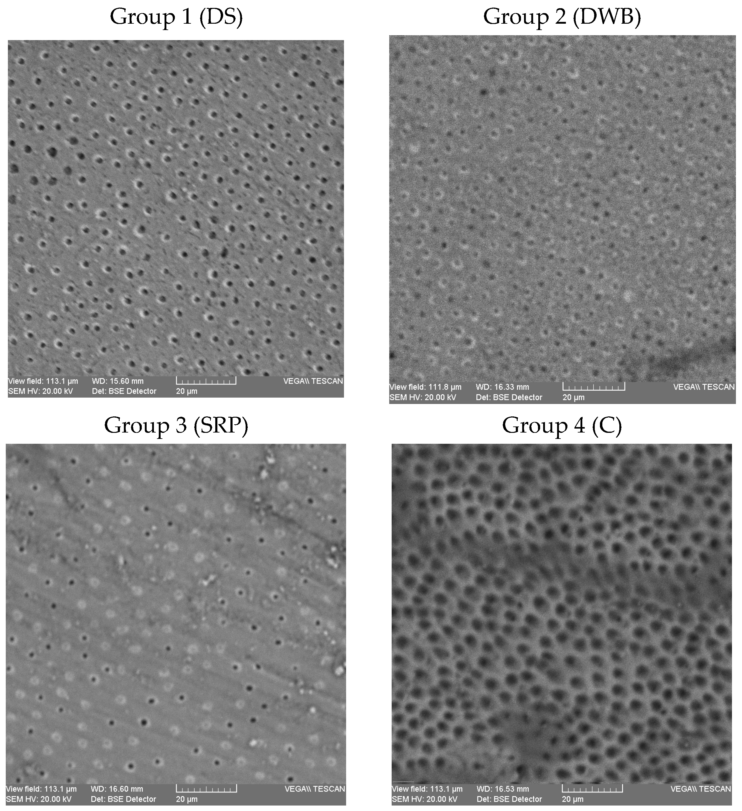 Biomedicines 11 02464 g002