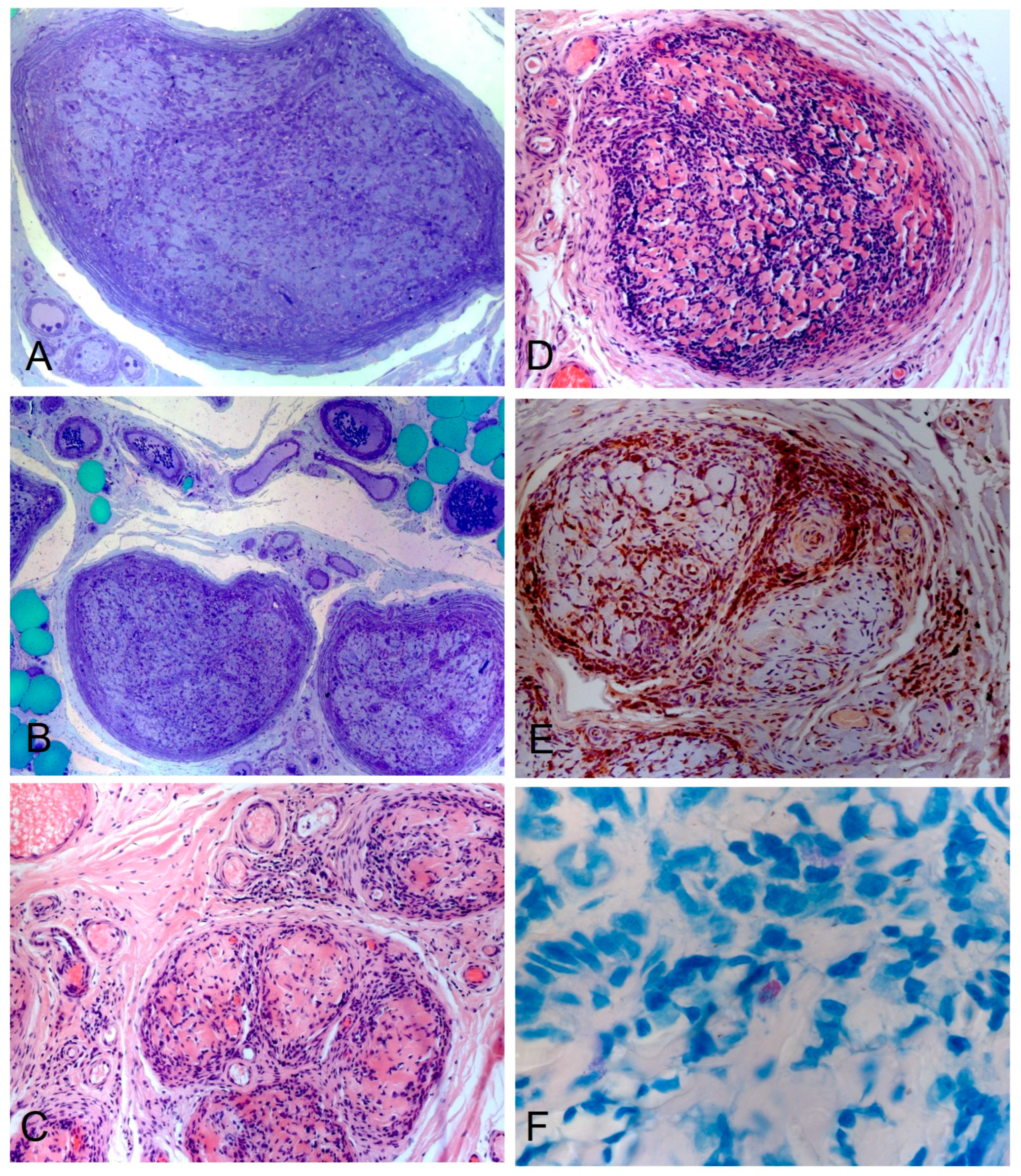 Biomedicines 11 02468 g001