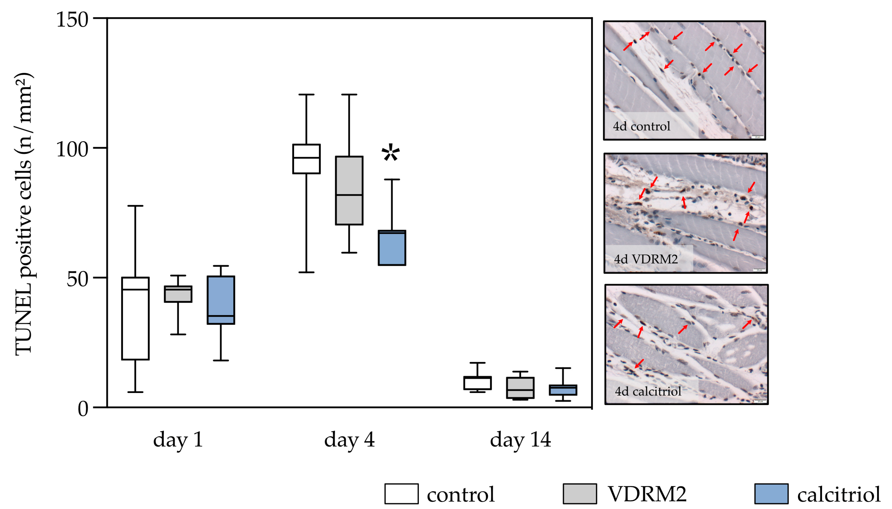 Biomedicines 11 02477 g005