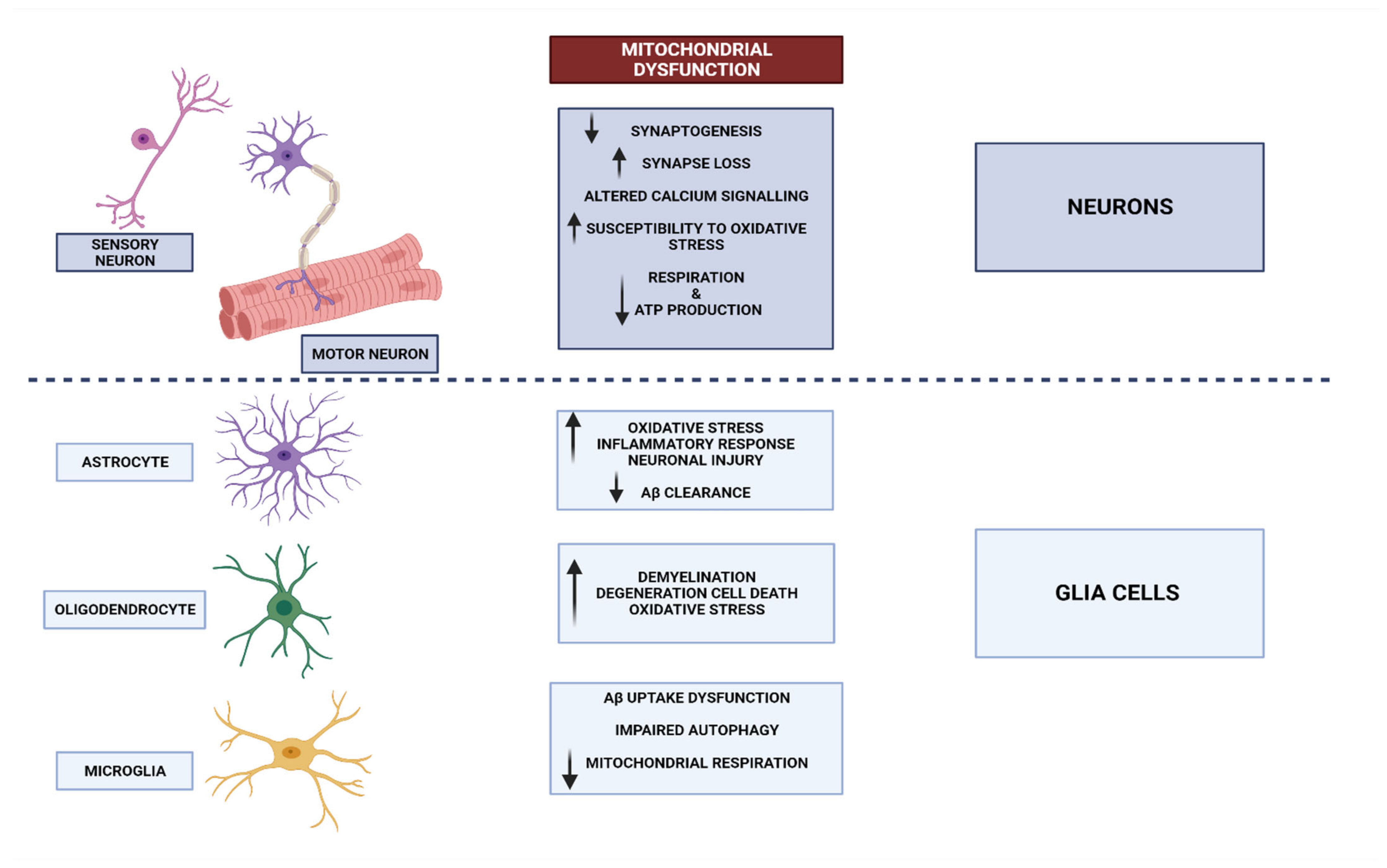 Biomedicines 11 02488 g001