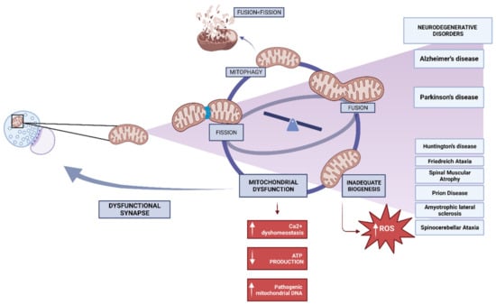 Biomedicines 11 02488 g002