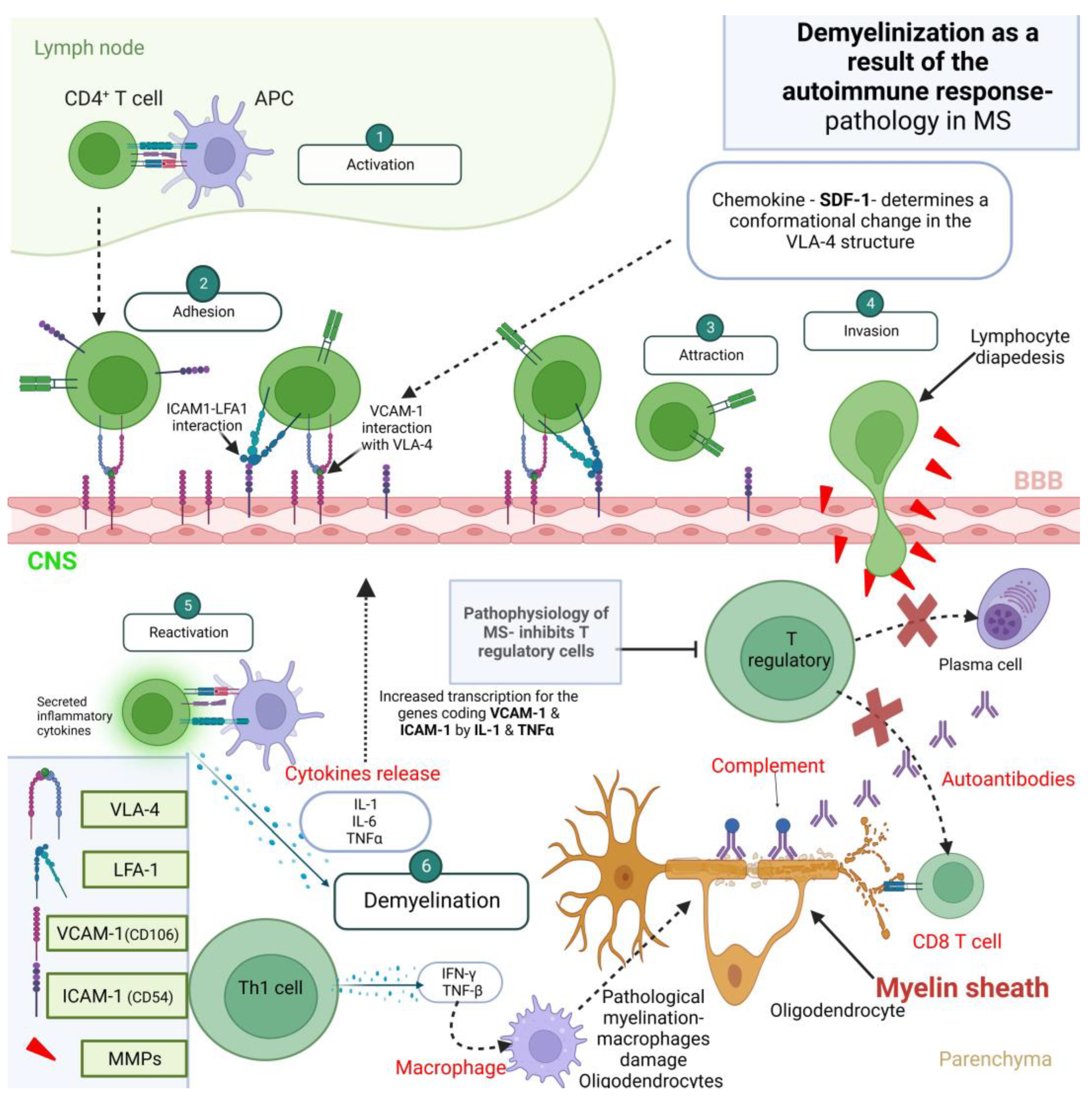 Biomedicines 11 02489 g001