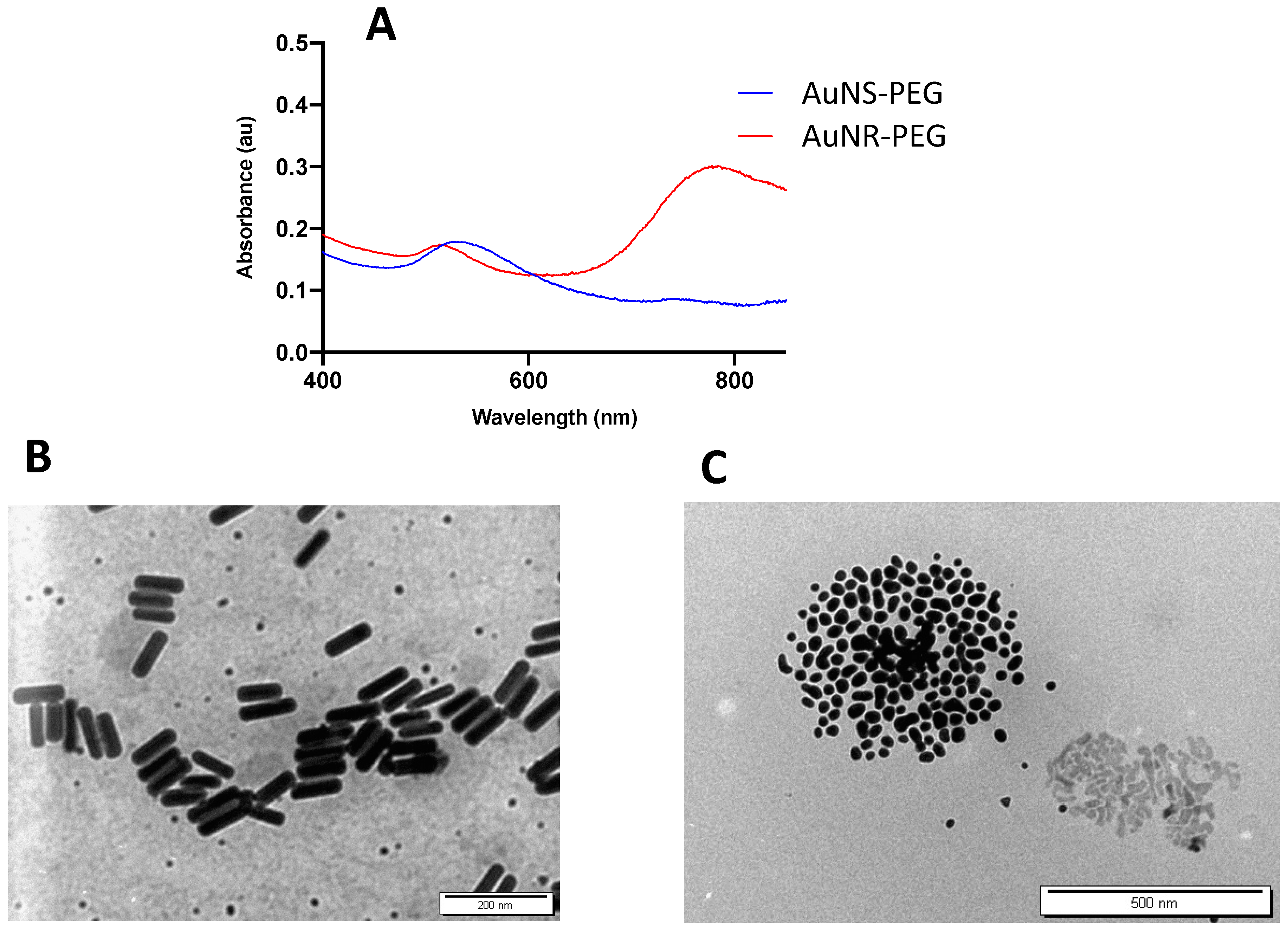 Biomedicines 11 02490 g001