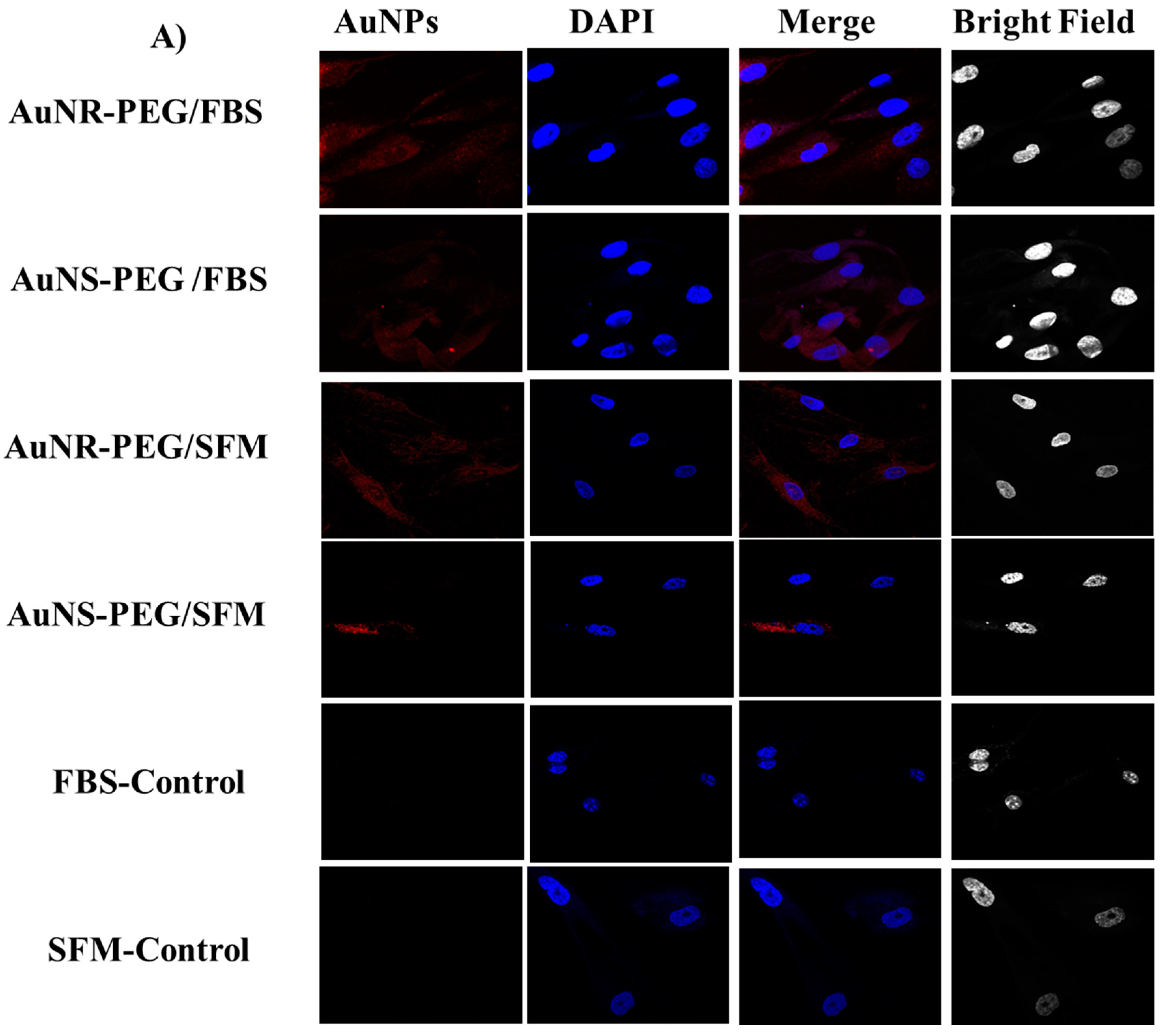 Biomedicines 11 02490 g005a