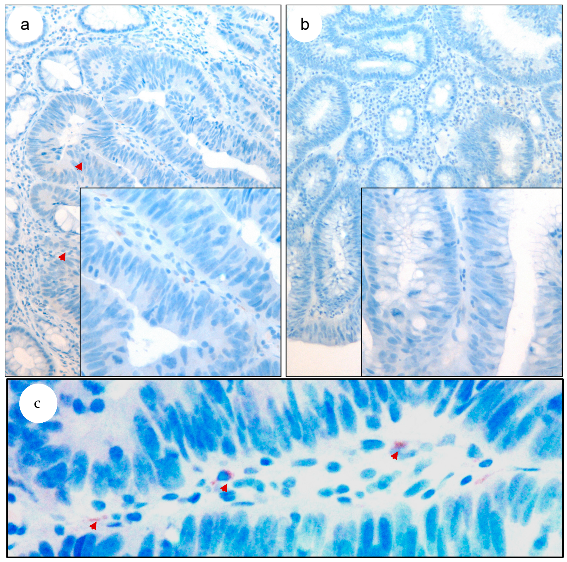 Biomedicines 11 02496 g003