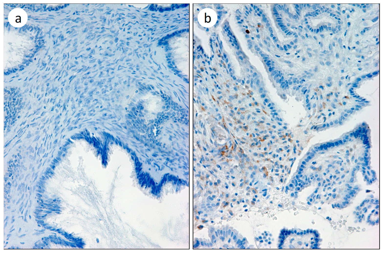Biomedicines 11 02496 g005