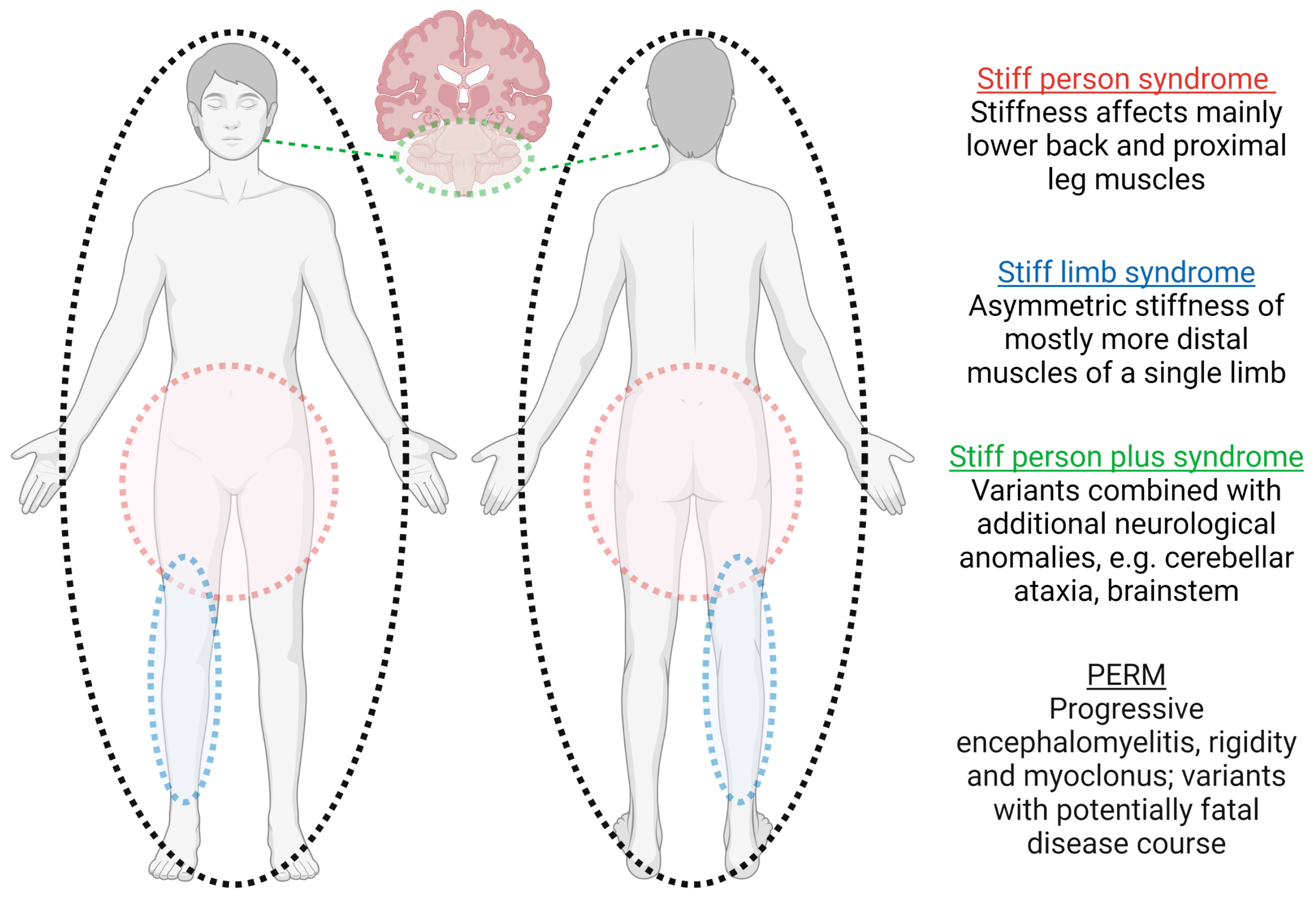 Biomedicines 11 02500 g001