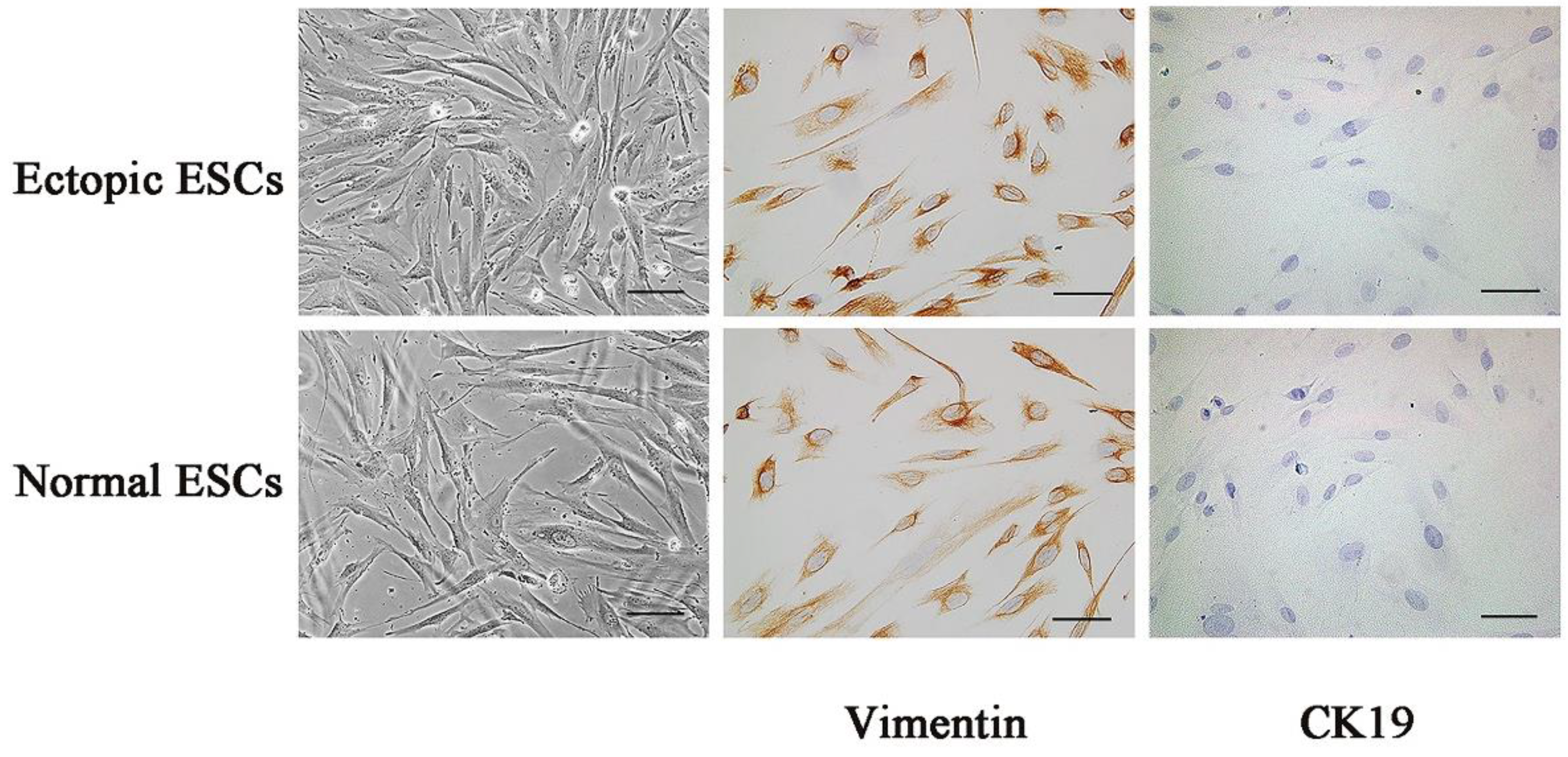Biomedicines 11 02506 g001
