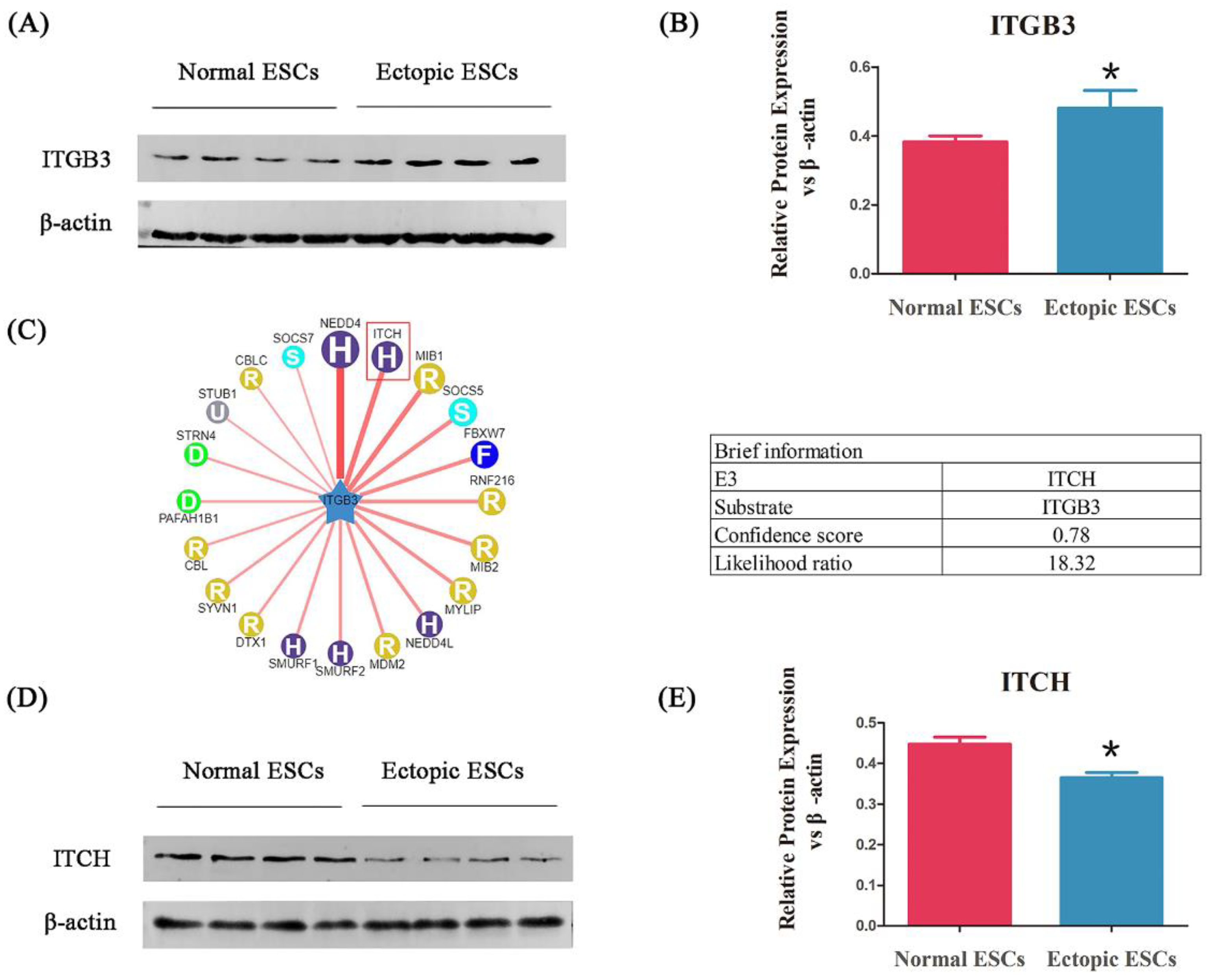 Biomedicines 11 02506 g002