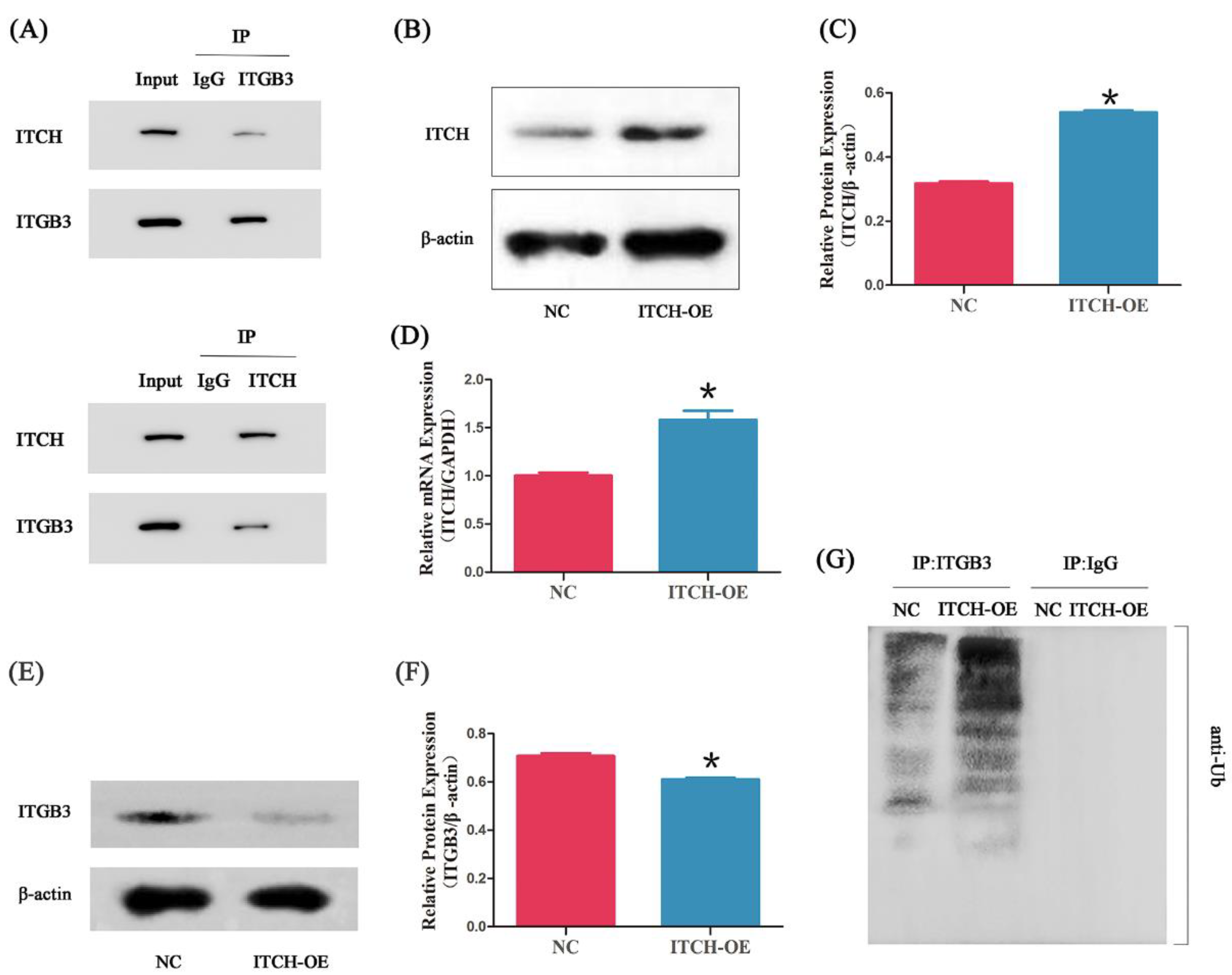Biomedicines 11 02506 g003