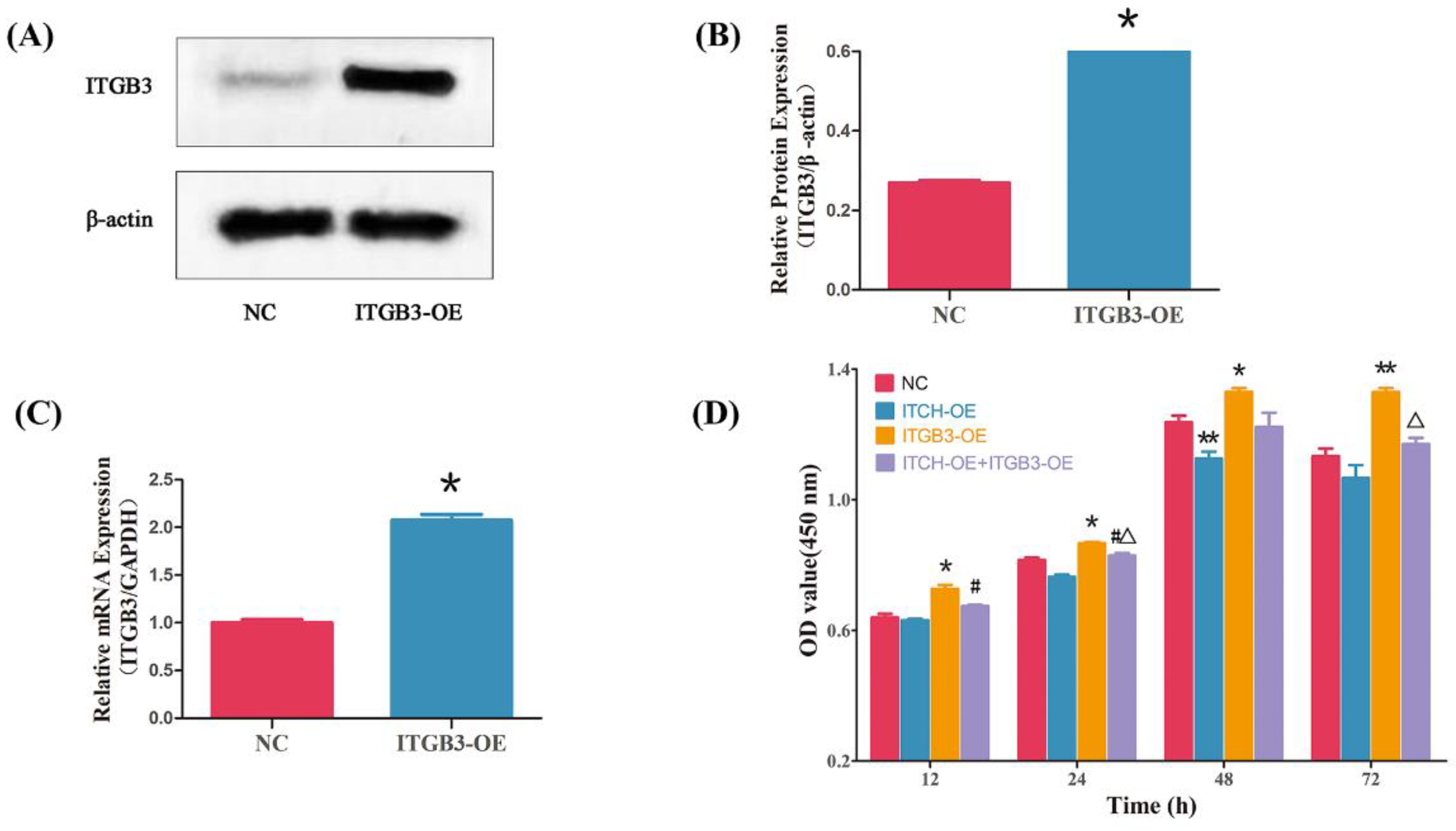 Biomedicines 11 02506 g004