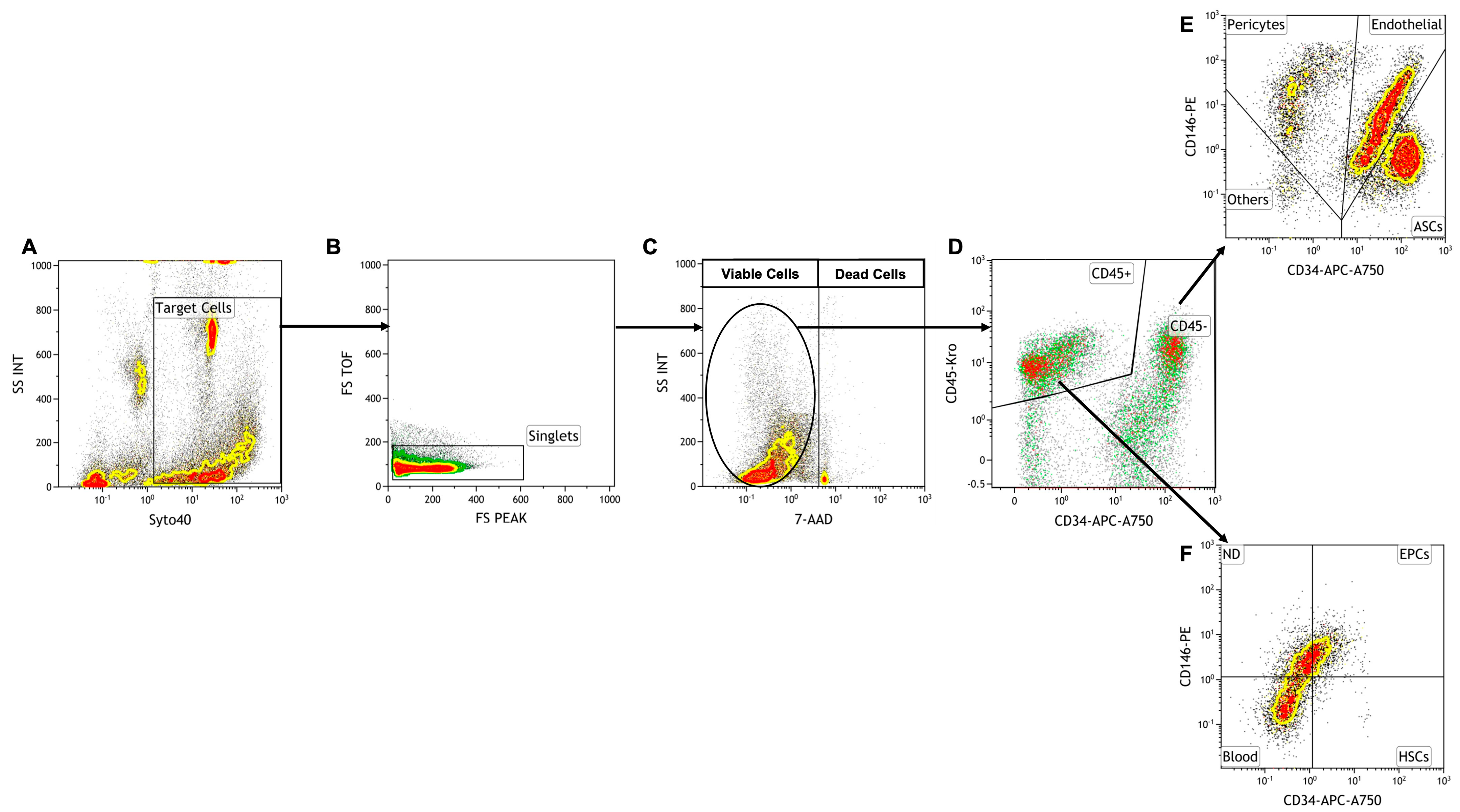 Biomedicines 11 02533 g001