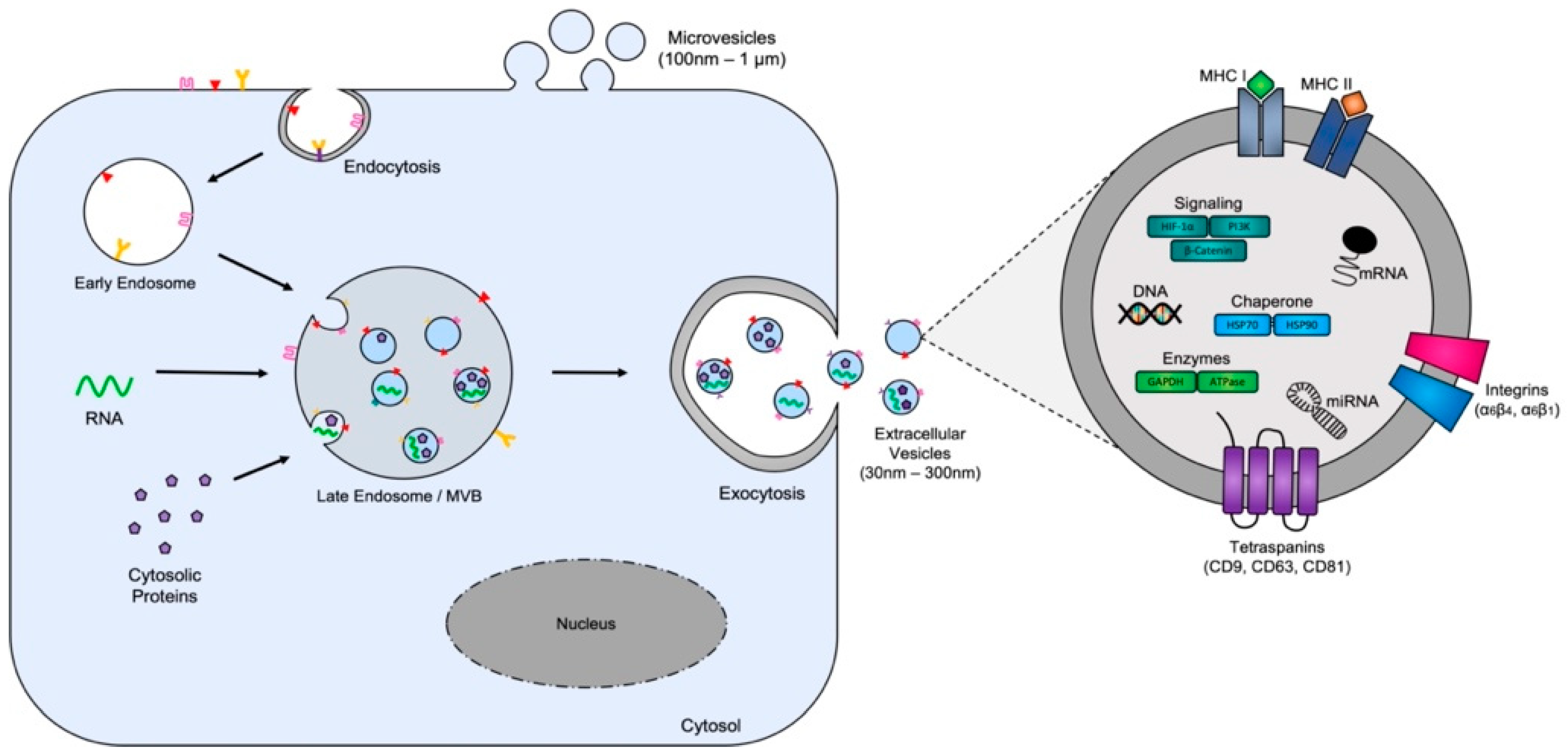 Biomedicines 11 02534 g001