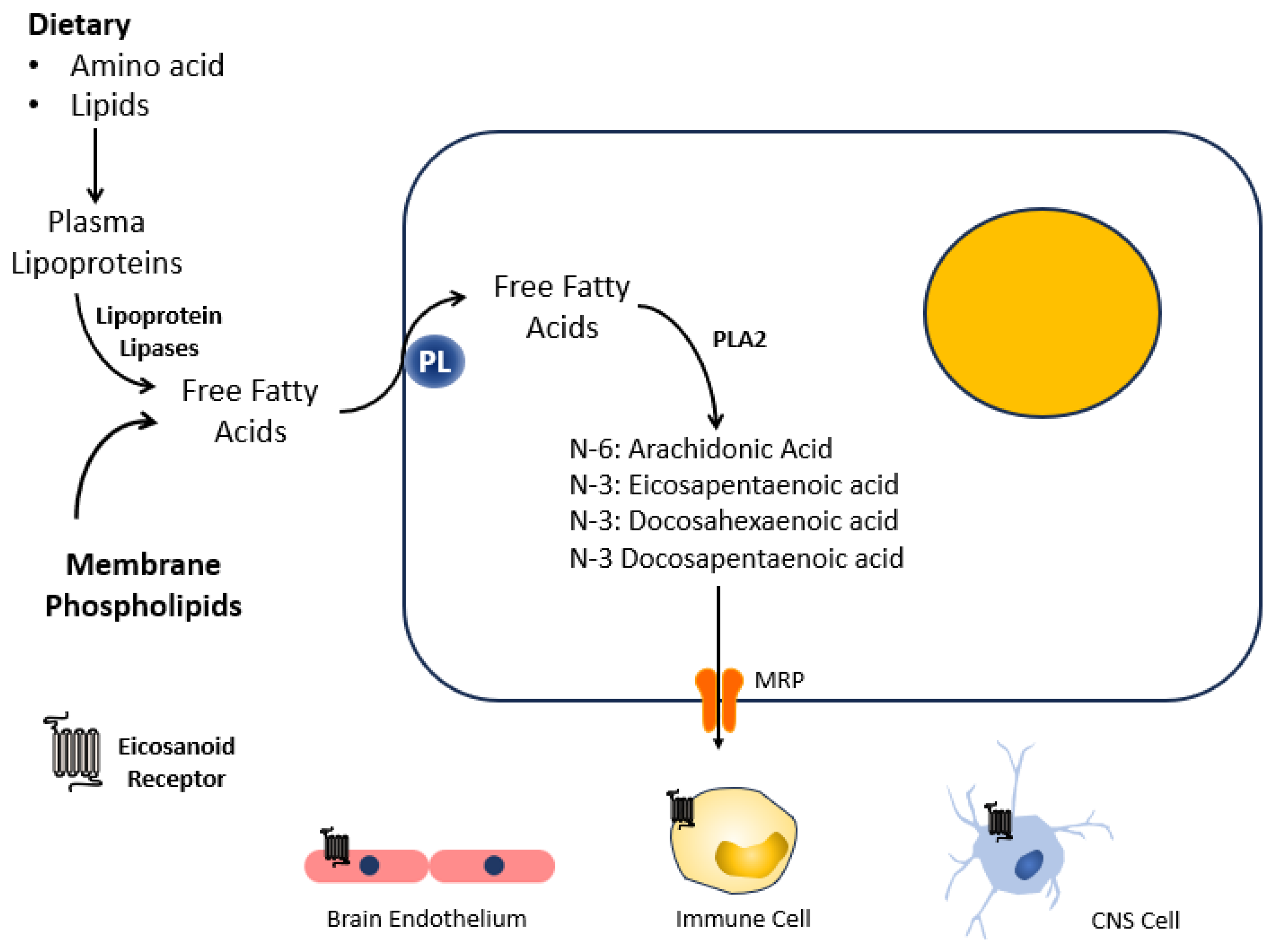 Biomedicines 11 02551 g003