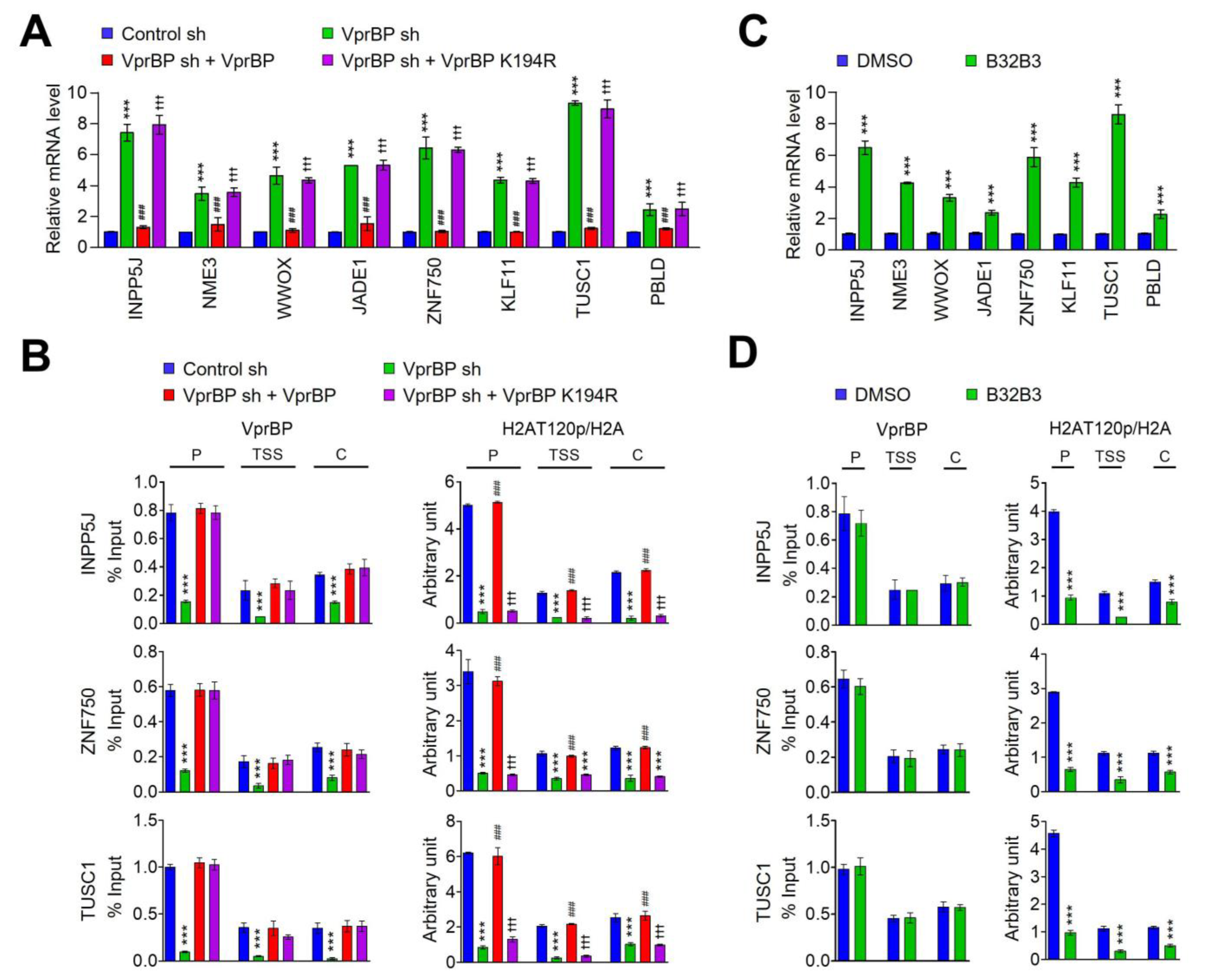 Biomedicines 11 02552 g004 Biomedicines 11 02552 g004