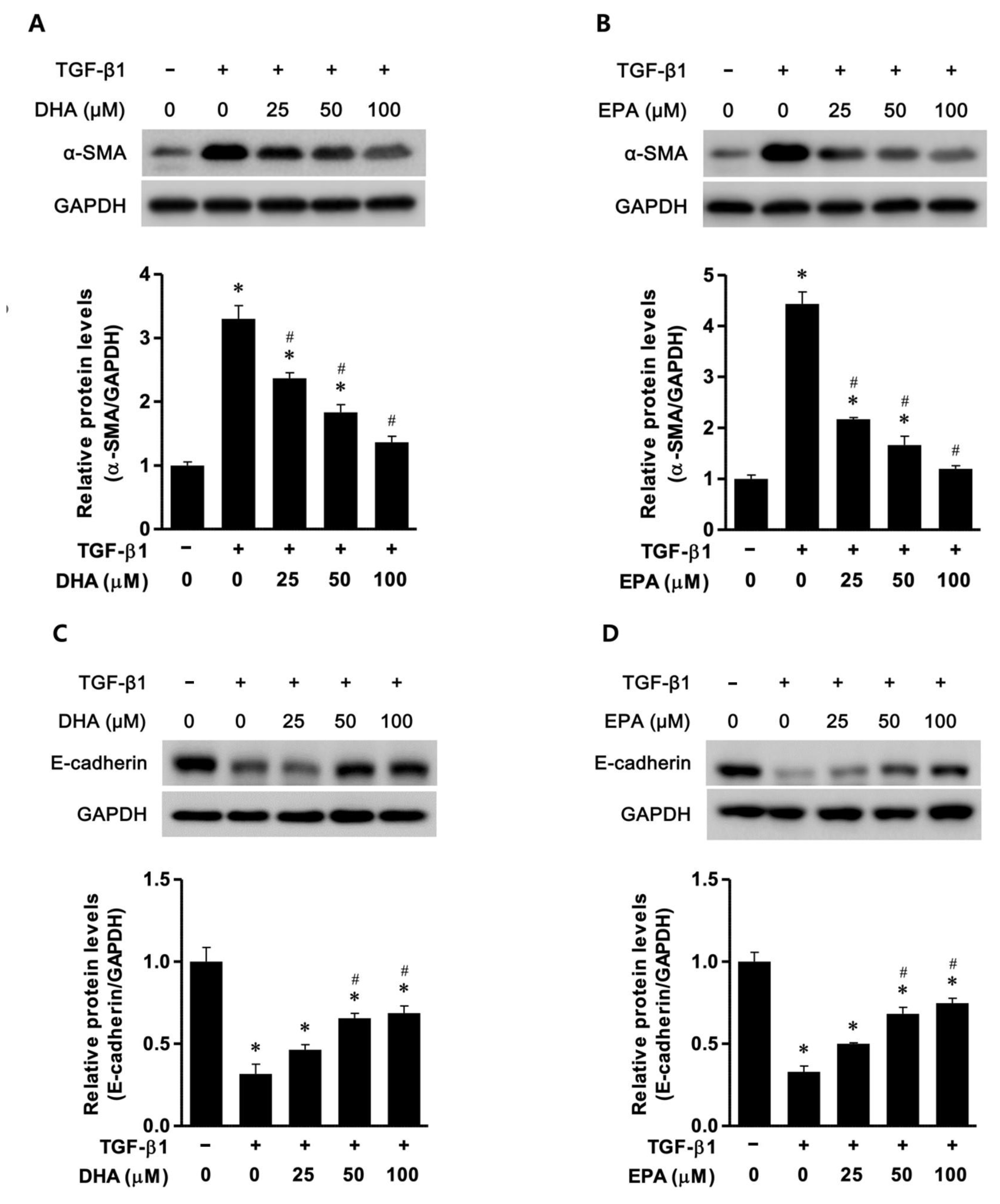 Biomedicines 11 02553 g001