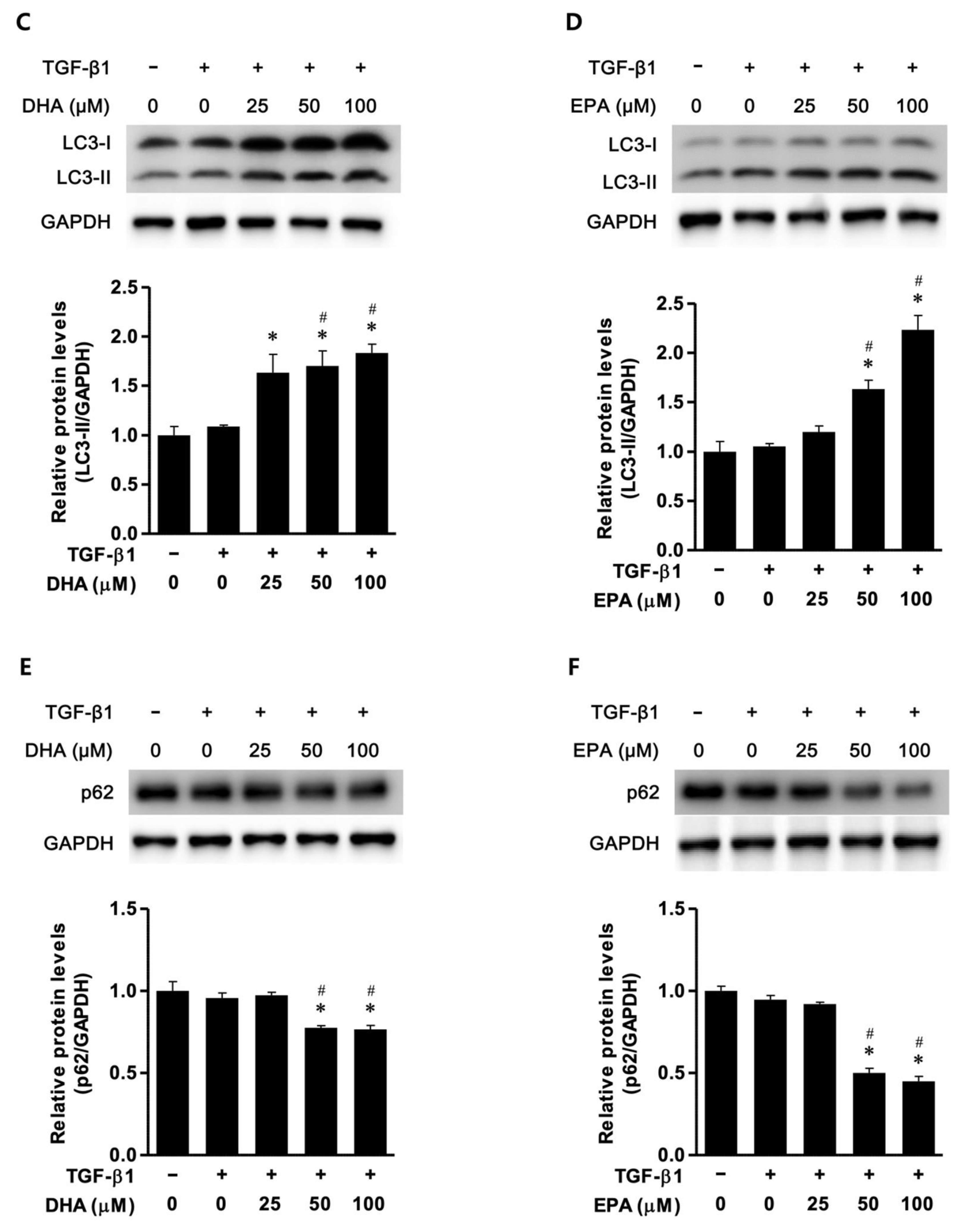 Biomedicines 11 02553 g002b