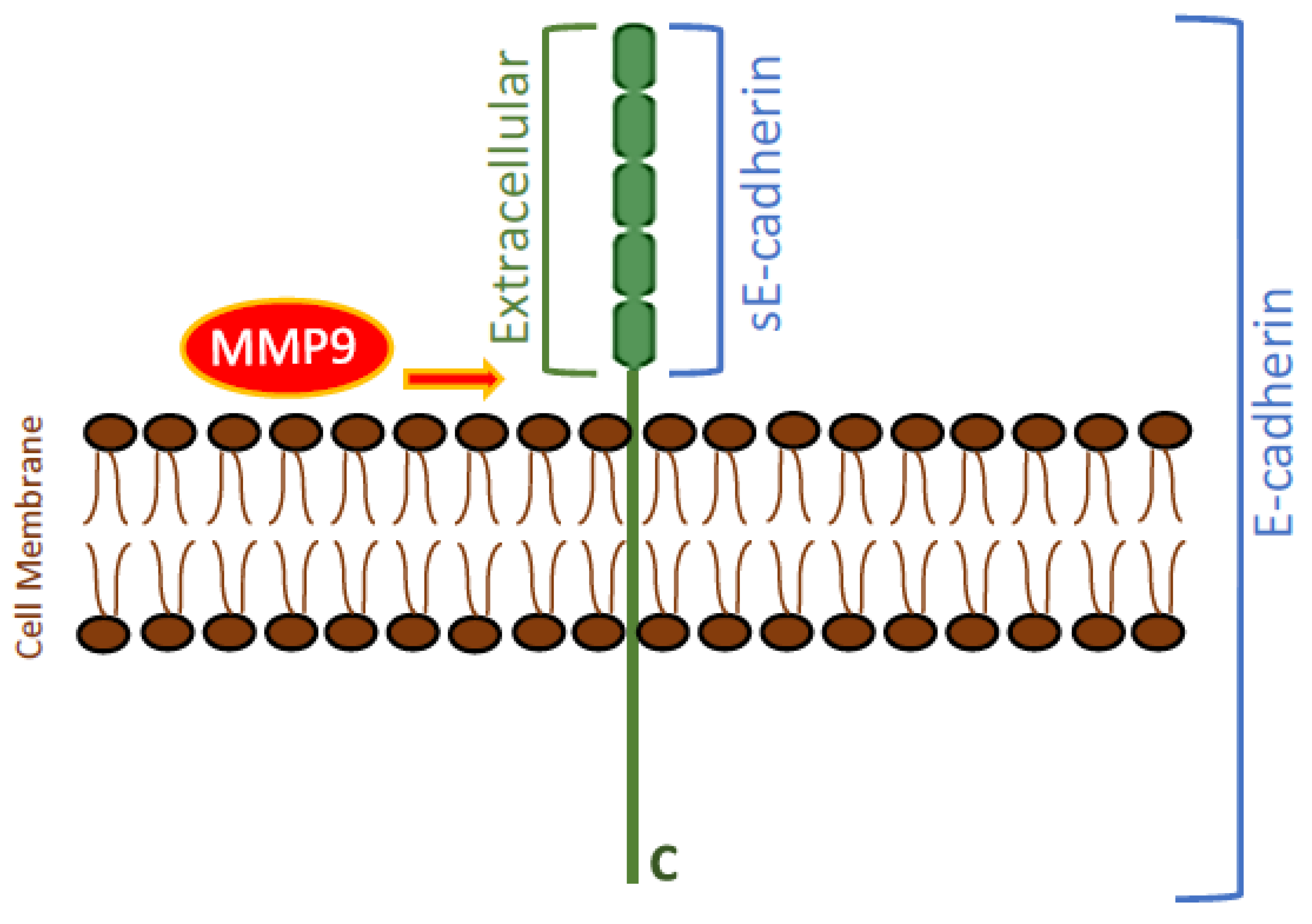 Biomedicines 11 02555 g001 Biomedicines 11 02555 g001