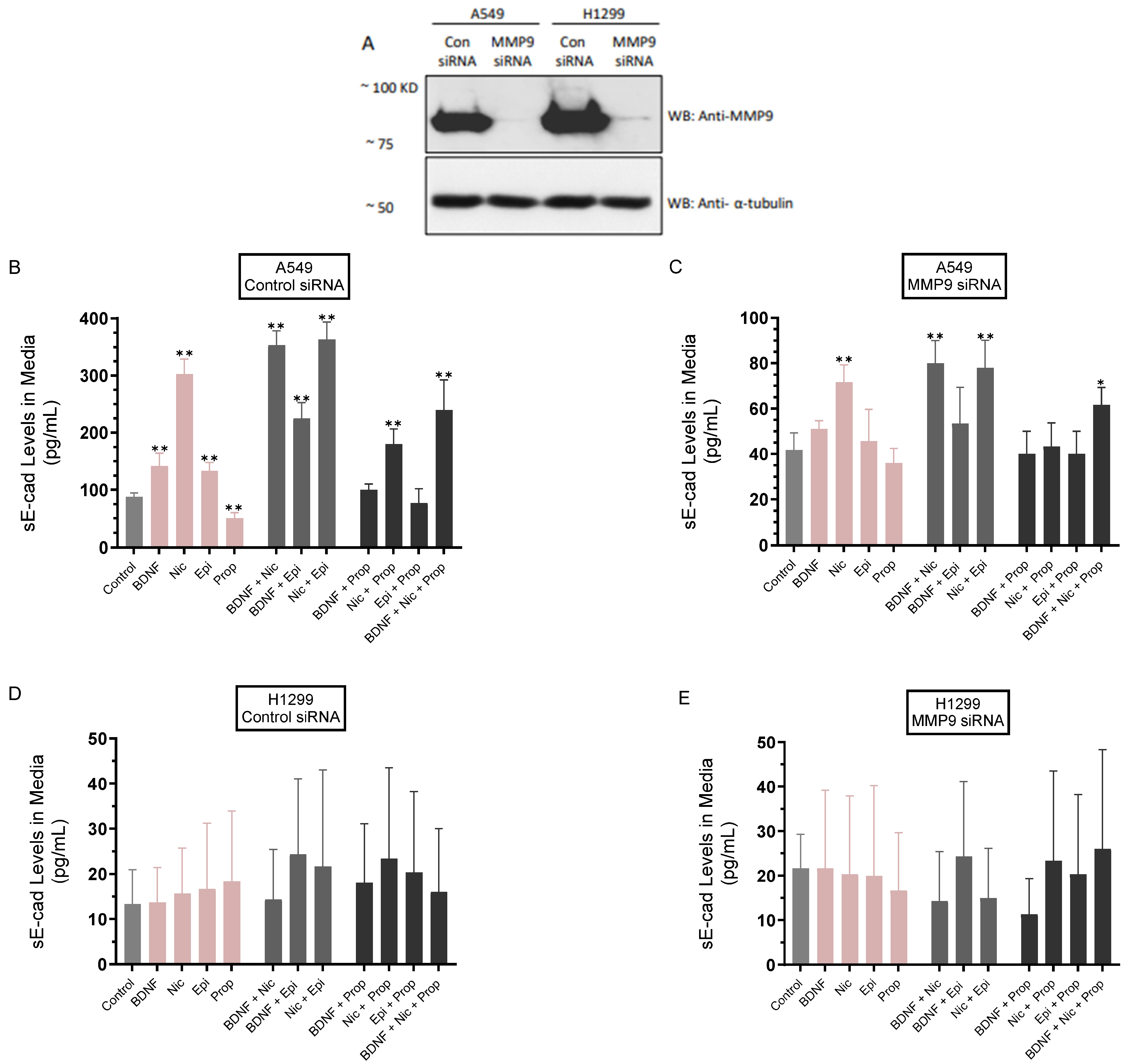 Biomedicines 11 02555 g003 Biomedicines 11 02555 g003