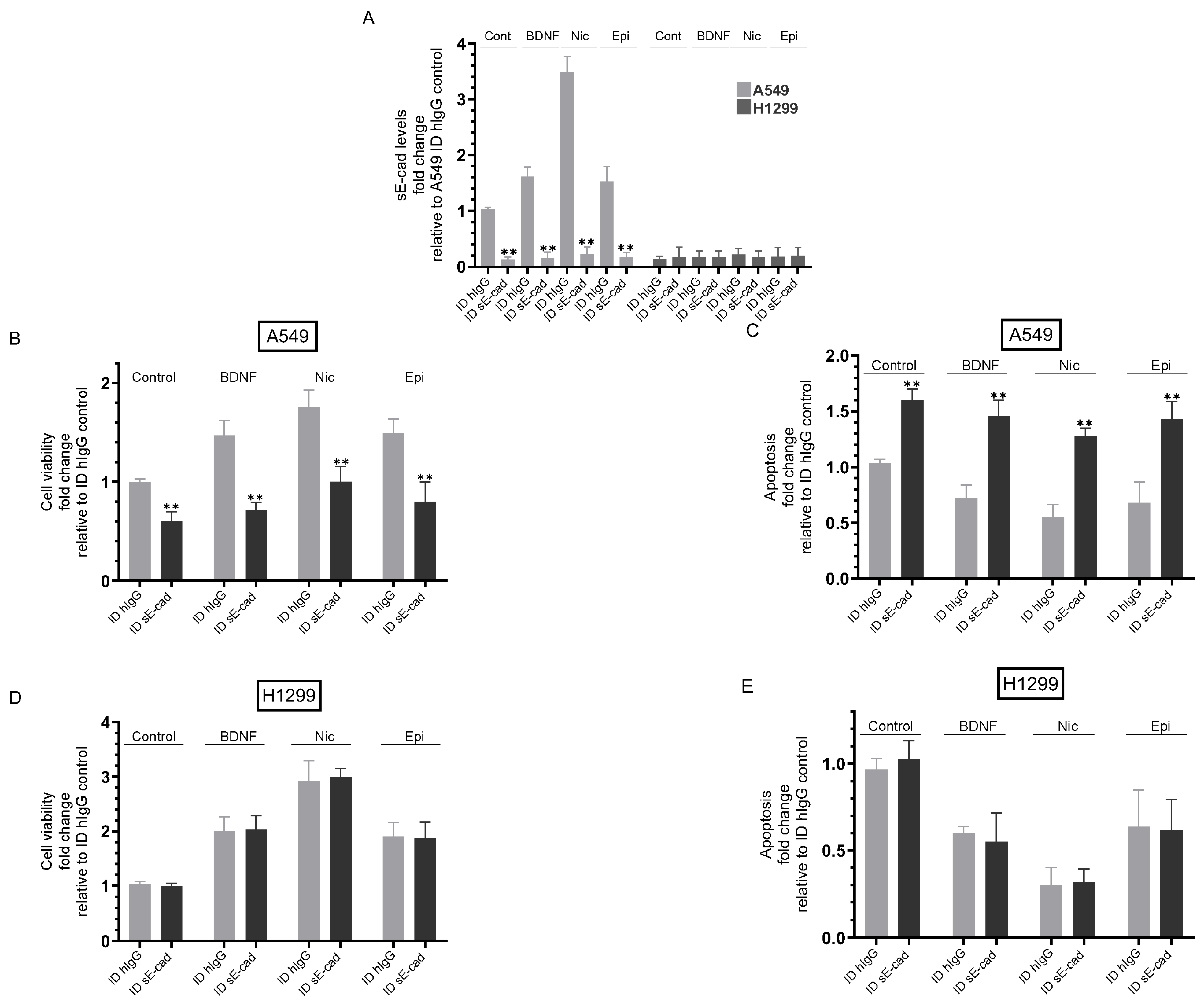Biomedicines 11 02555 g004 Biomedicines 11 02555 g004