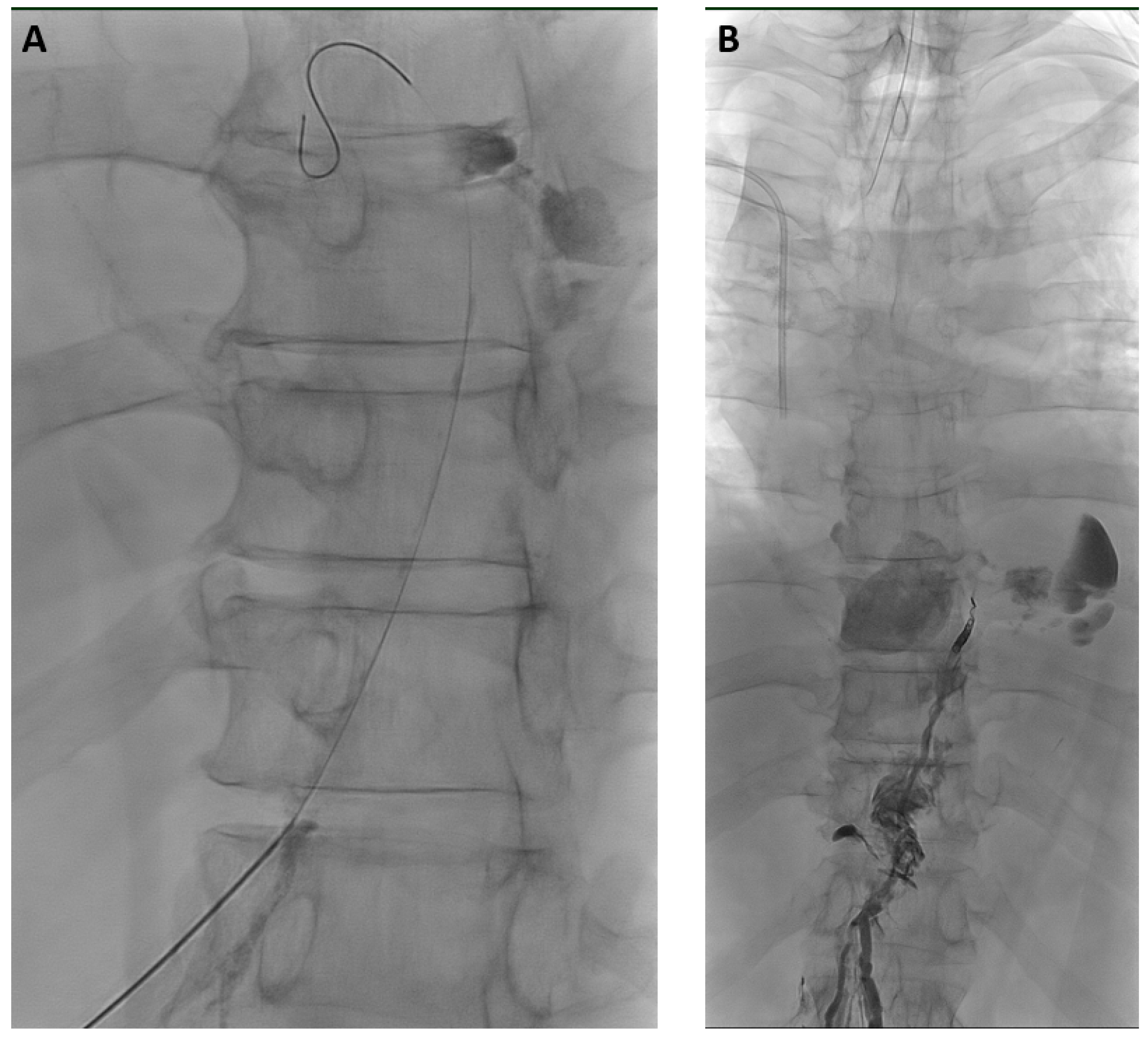 Biomedicines 11 02556 g002