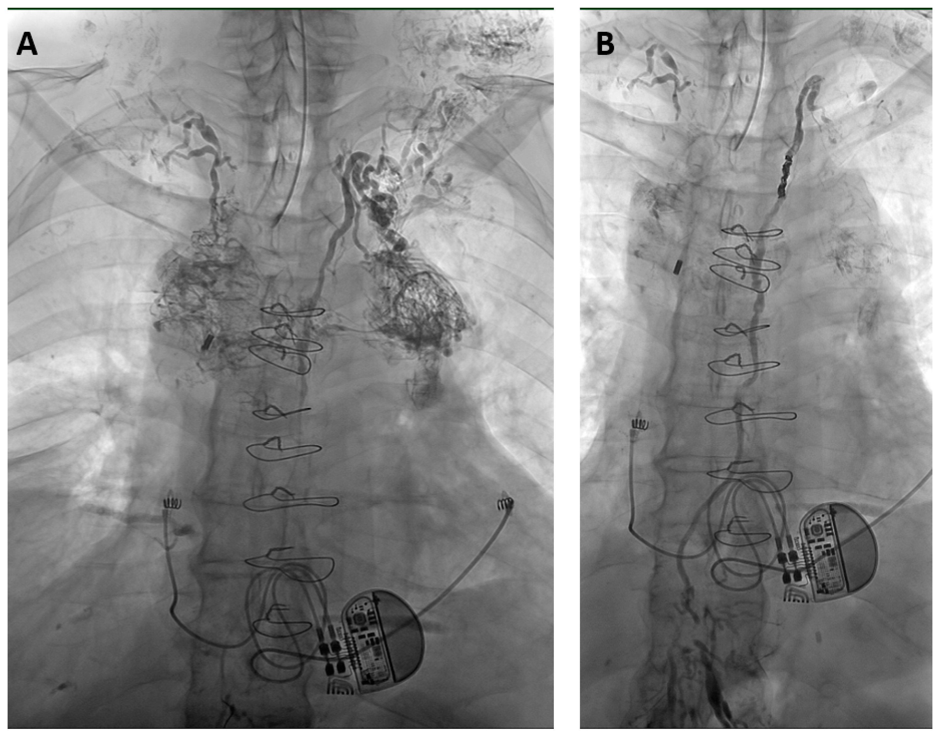 Biomedicines 11 02556 g003