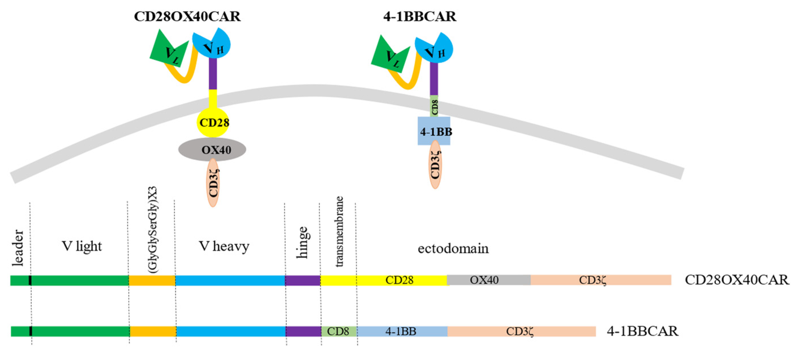 Biomedicines 11 02563 g001