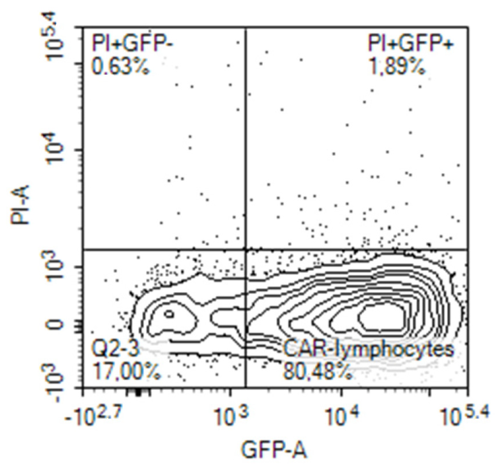 Biomedicines 11 02563 g002