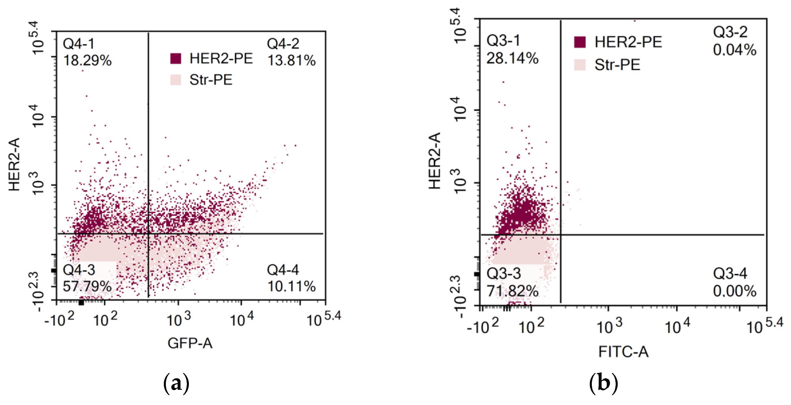 Biomedicines 11 02563 g003