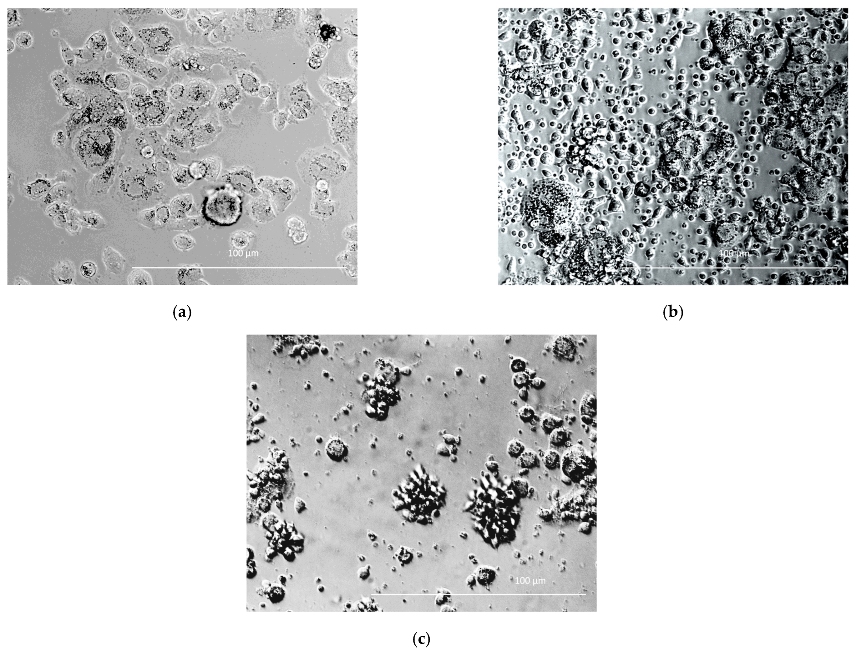 Biomedicines 11 02563 g007