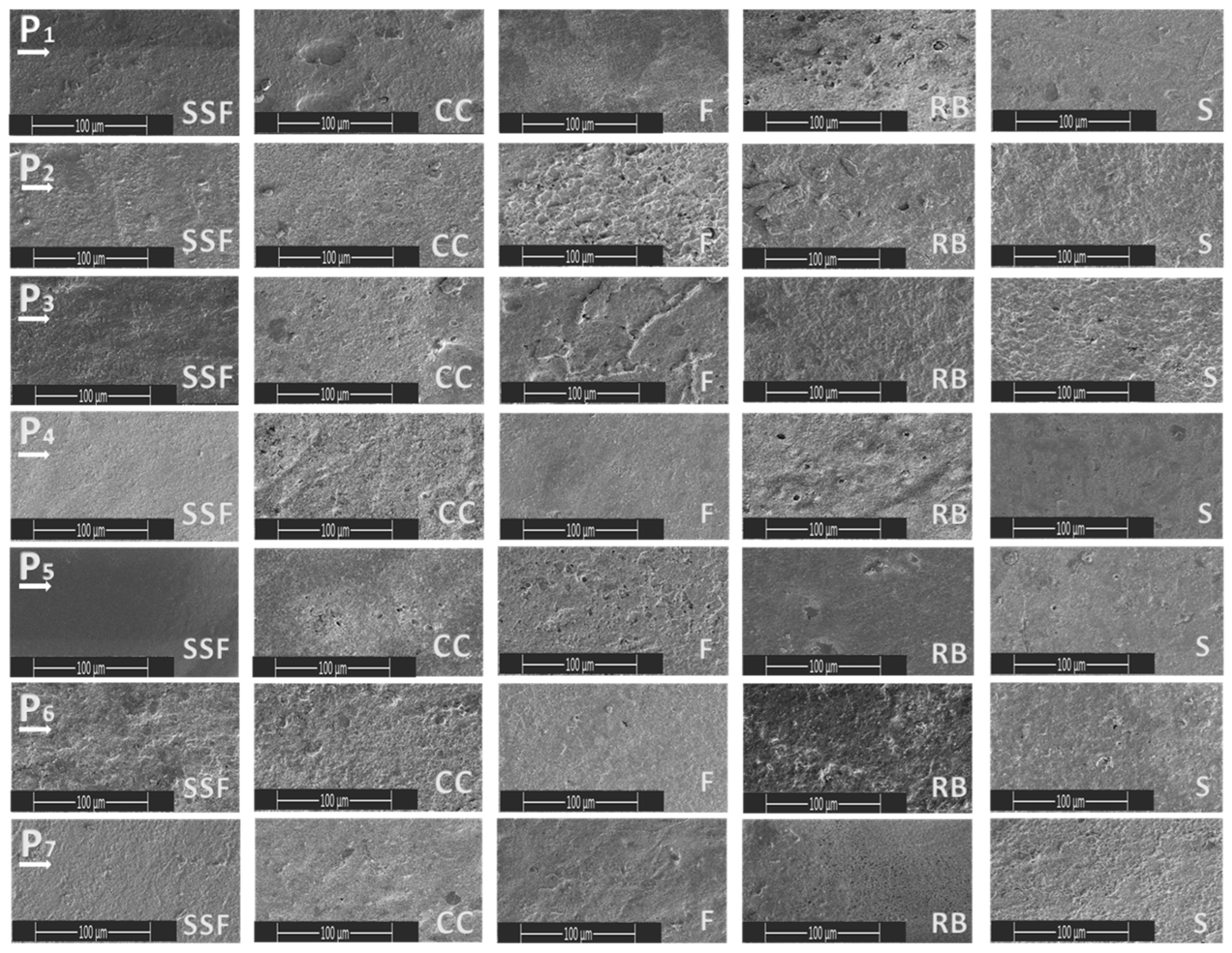 Biomedicines 11 02571 g001