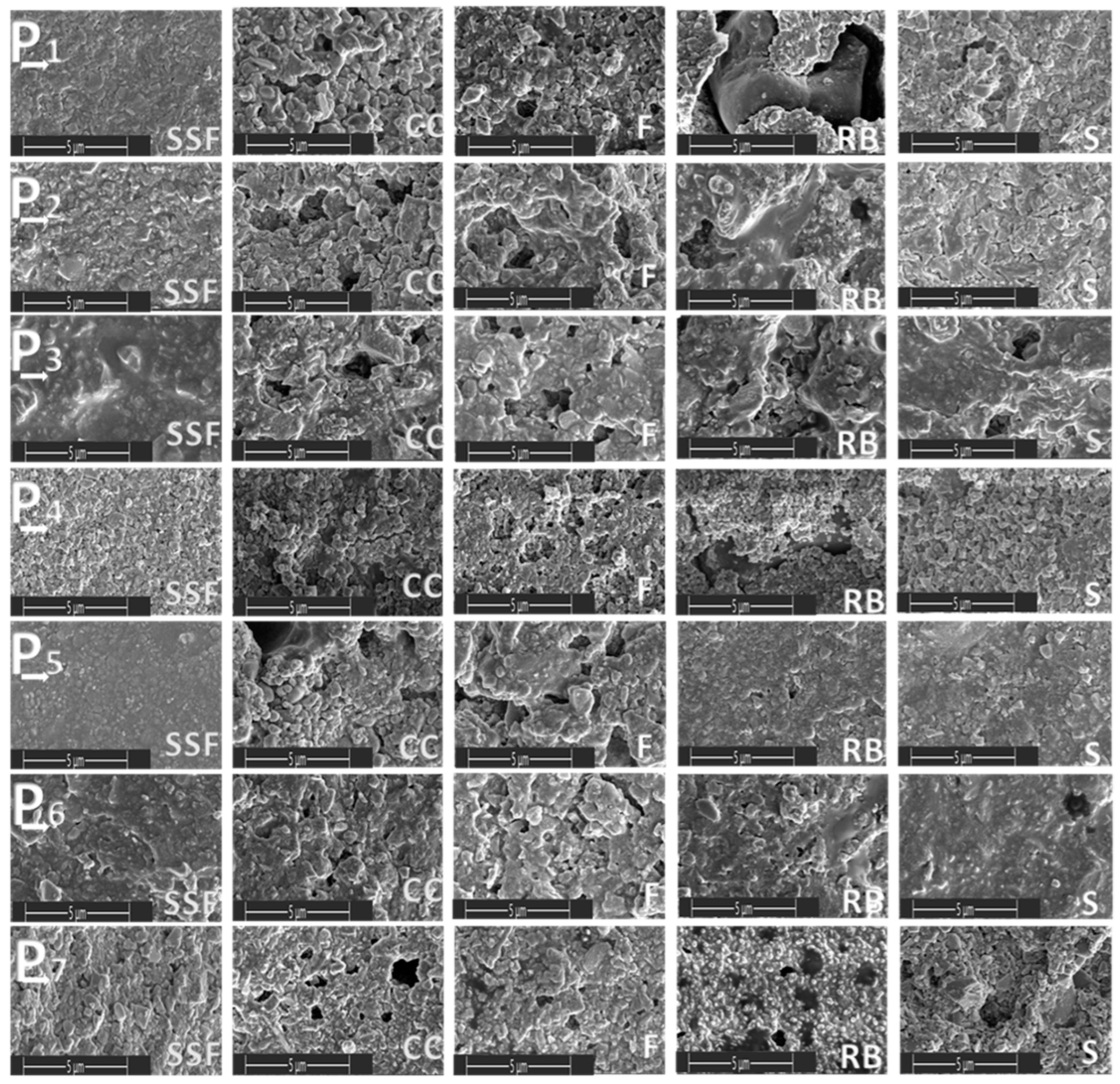 Biomedicines 11 02571 g002