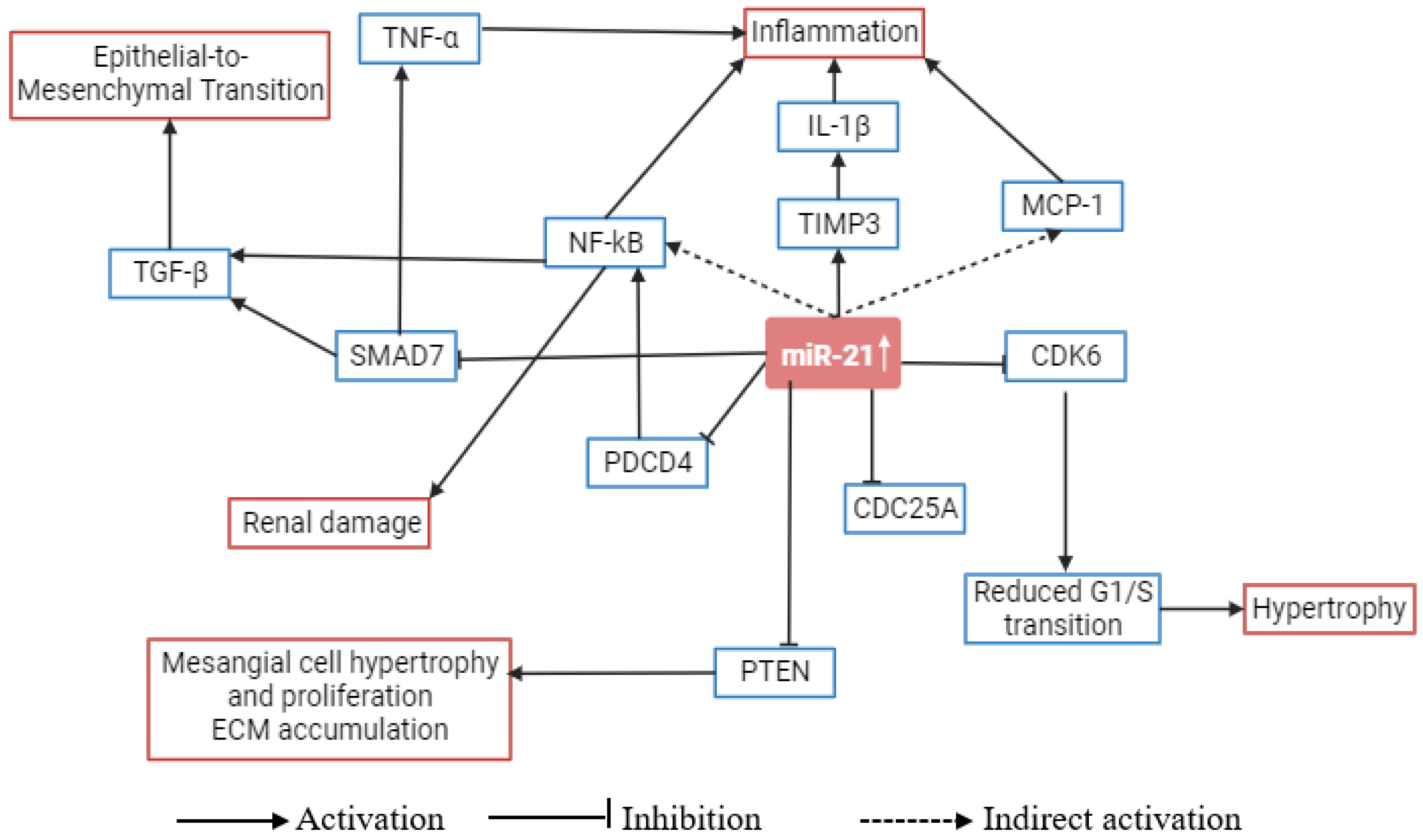 Biomedicines 11 02583 g001