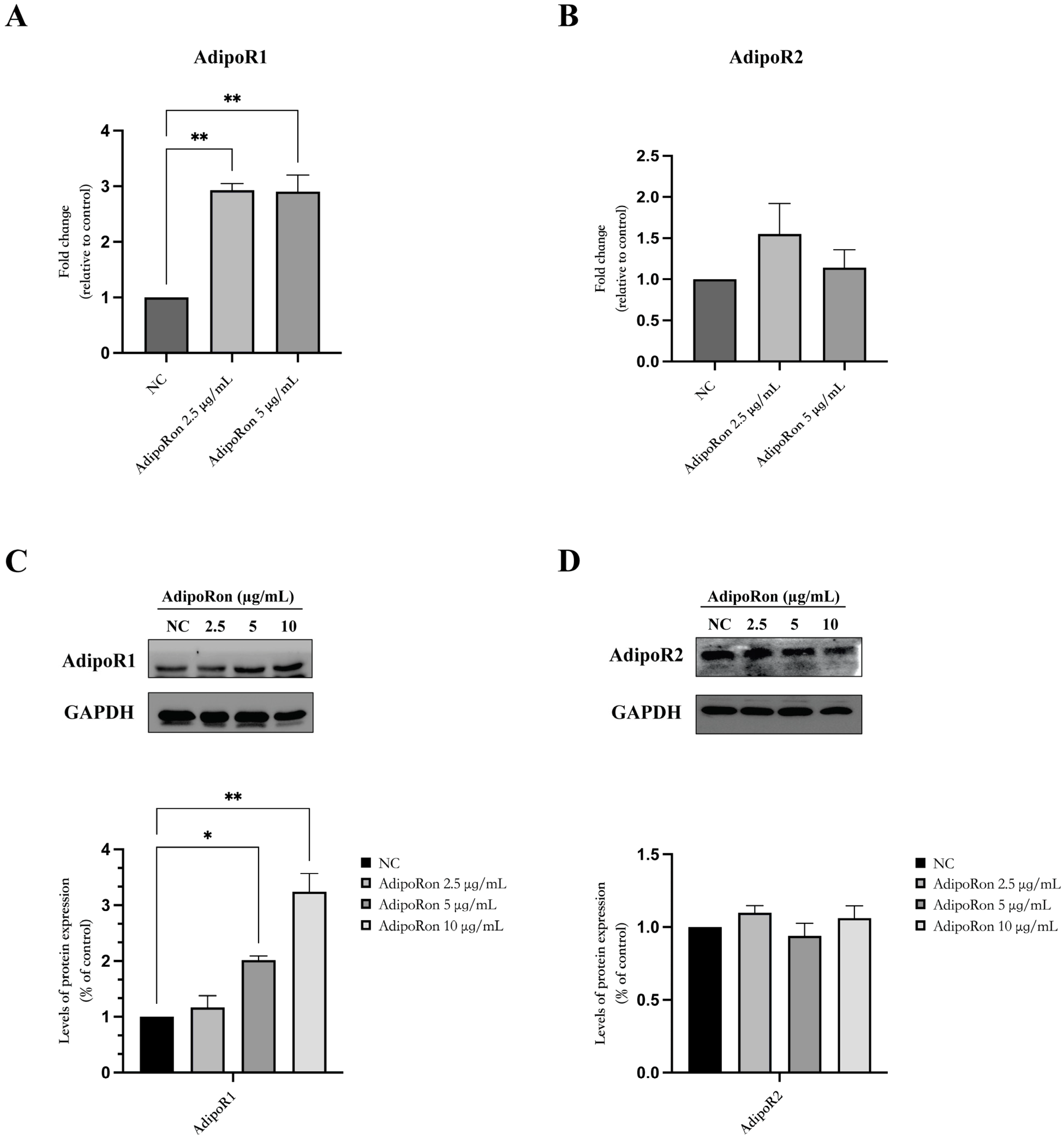 Biomedicines 11 02585 g001