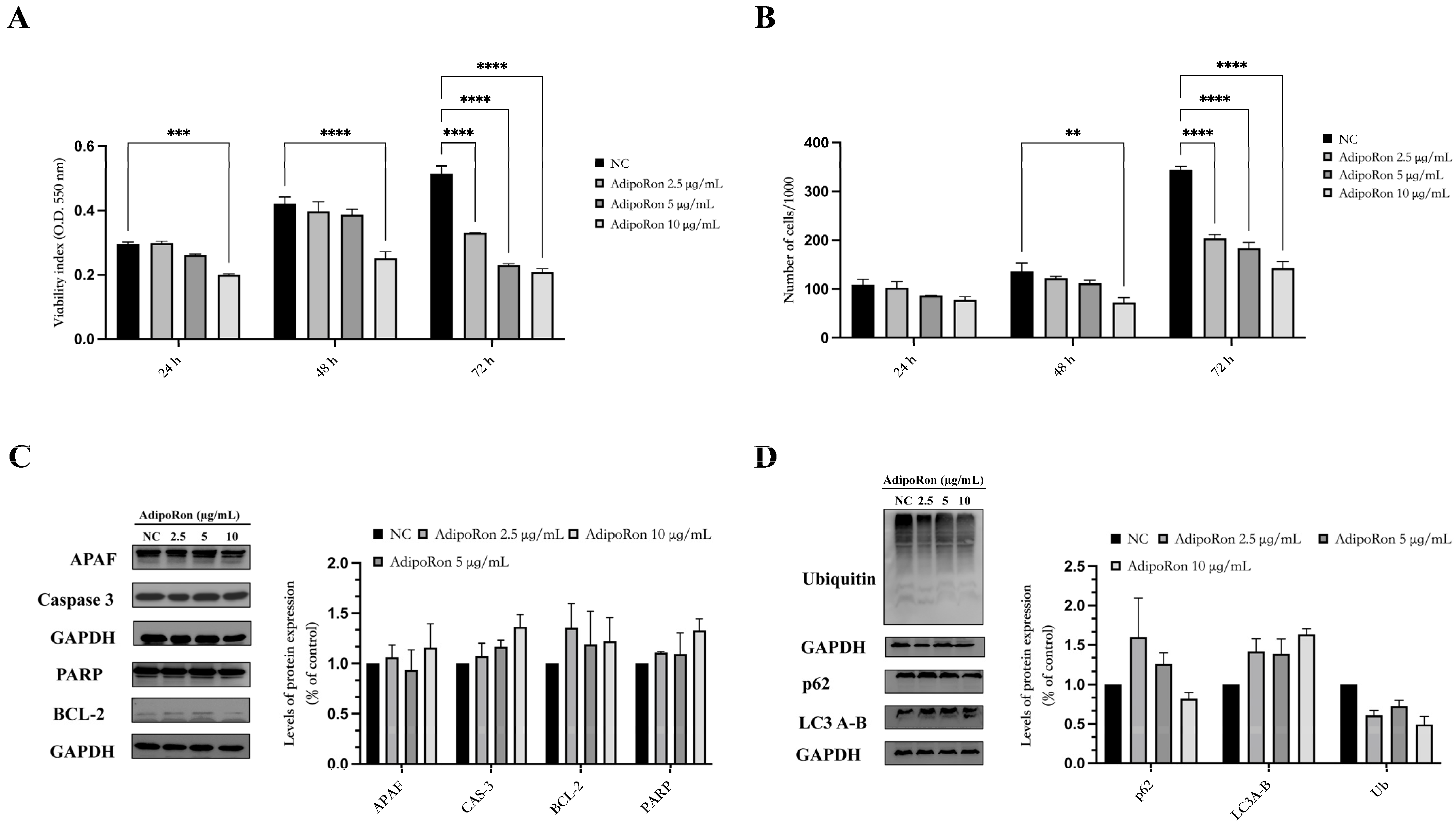 Biomedicines 11 02585 g002