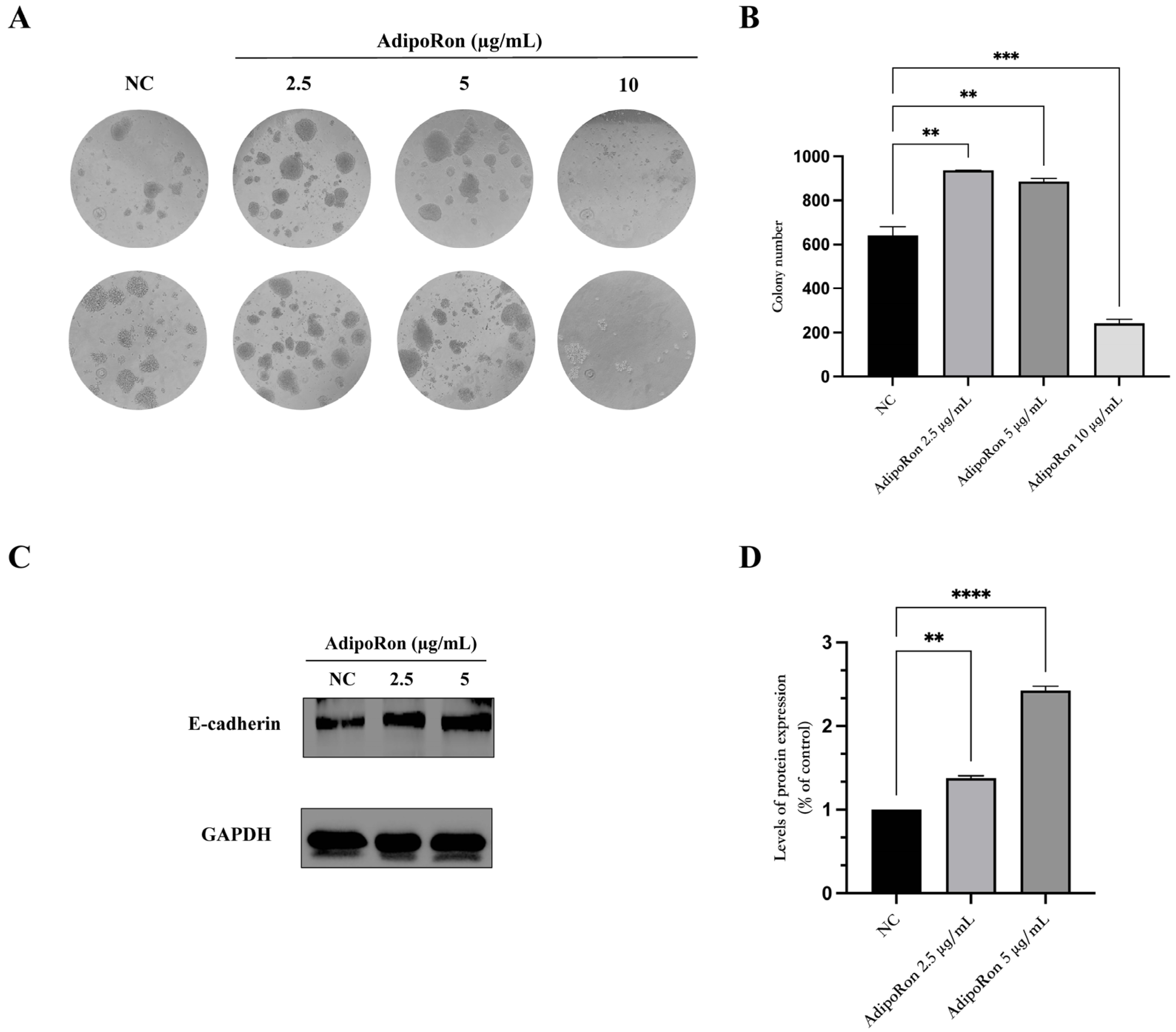 Biomedicines 11 02585 g004