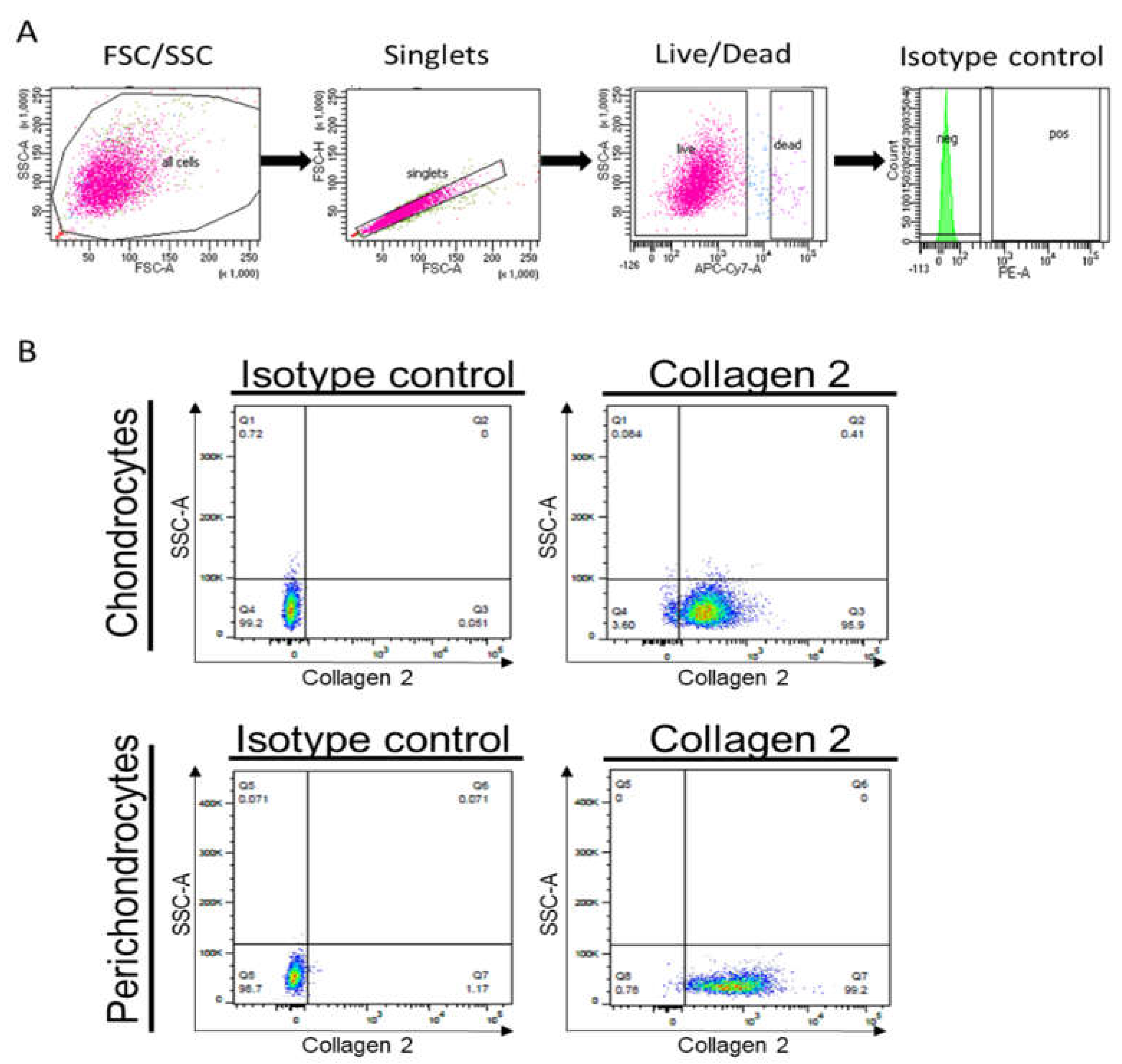 Biomedicines 11 02588 g006