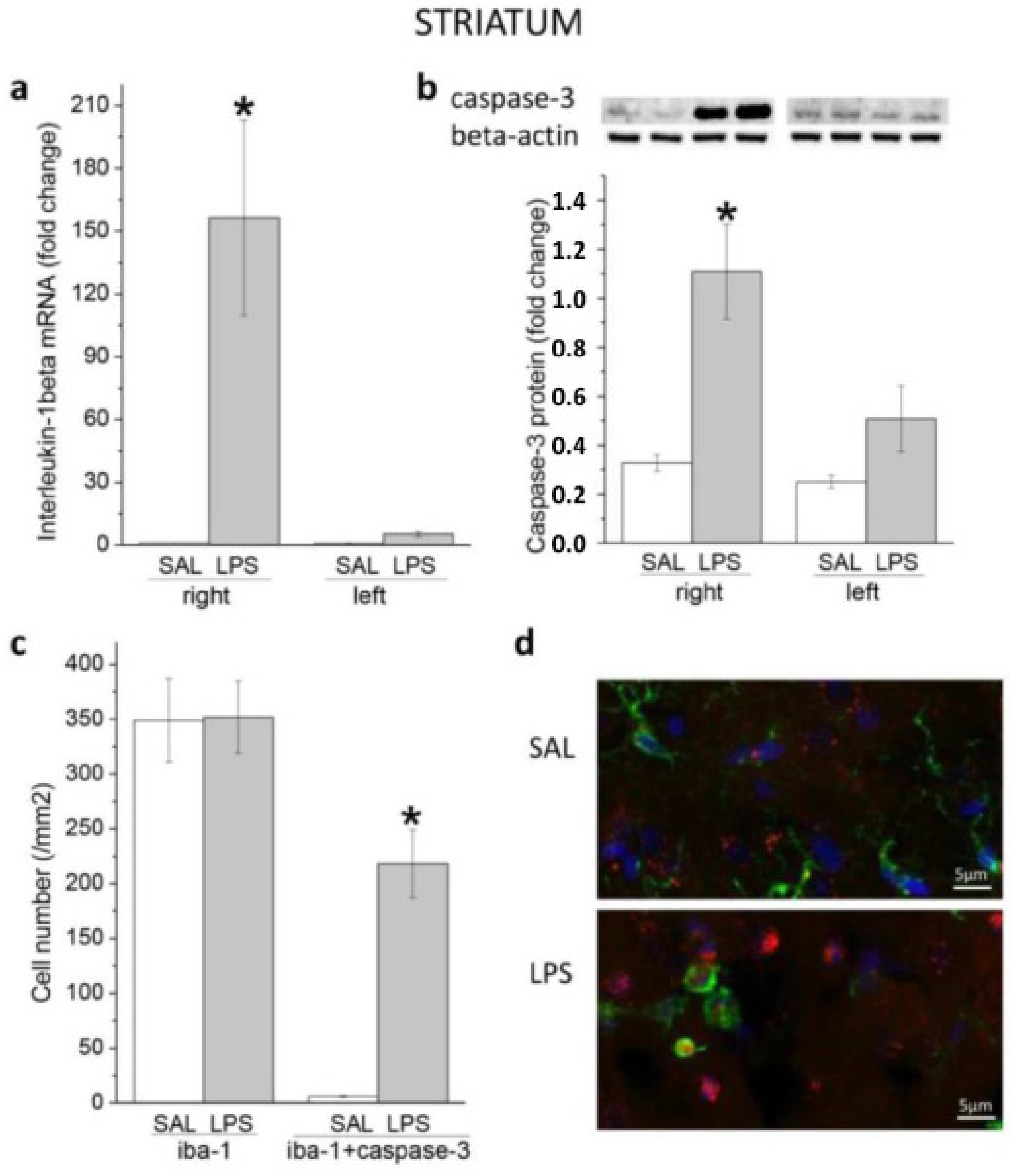 Biomedicines 11 02595 g001