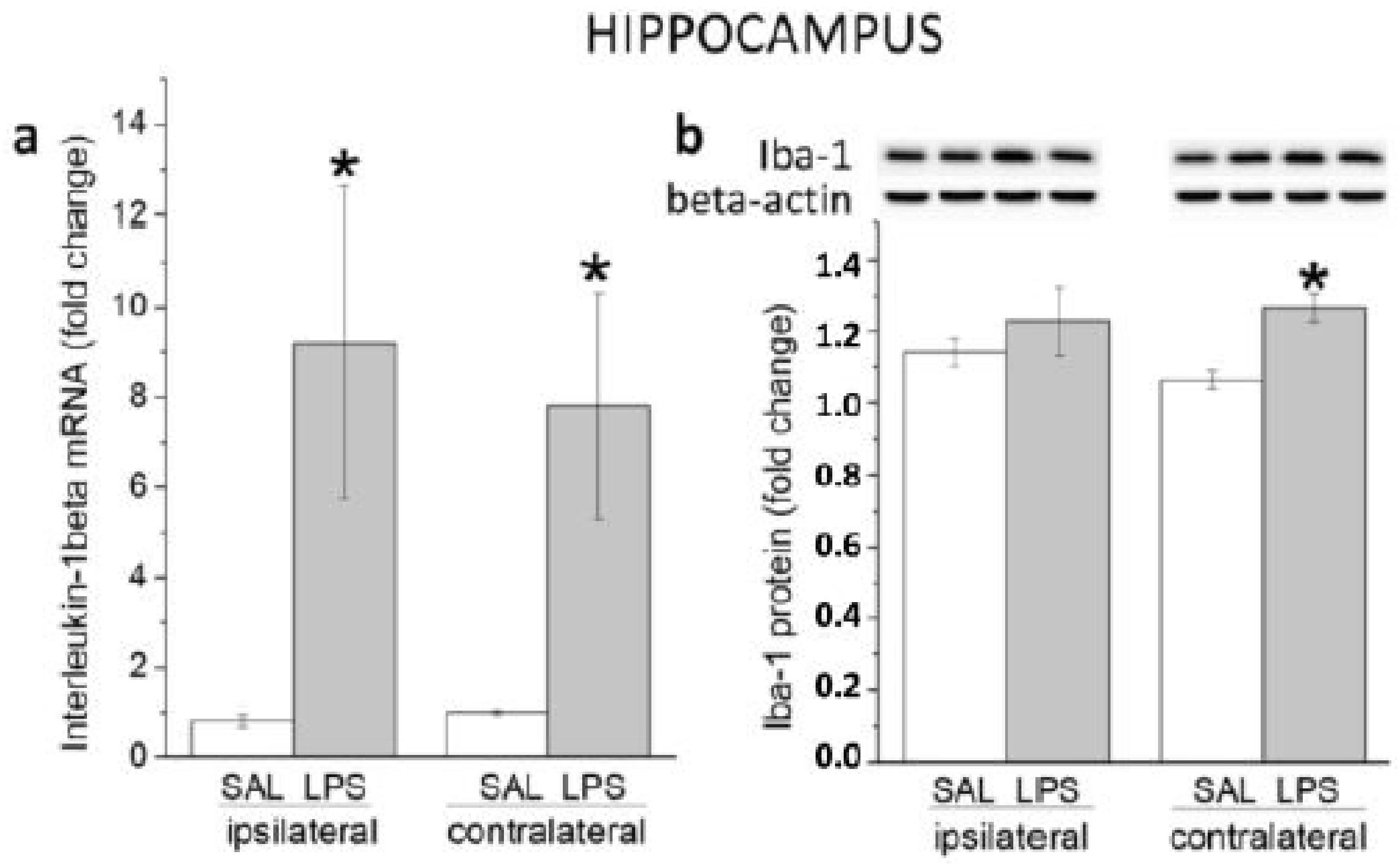 Biomedicines 11 02595 g002