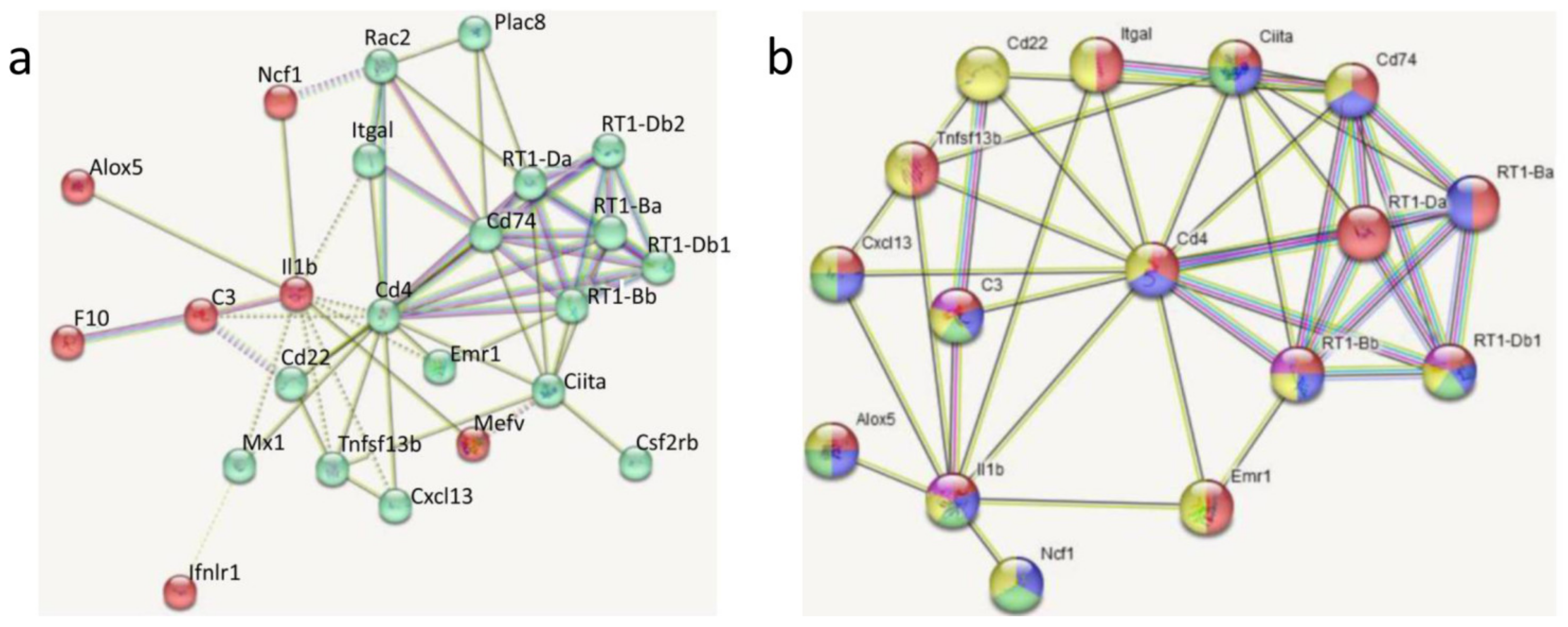 Biomedicines 11 02595 g007