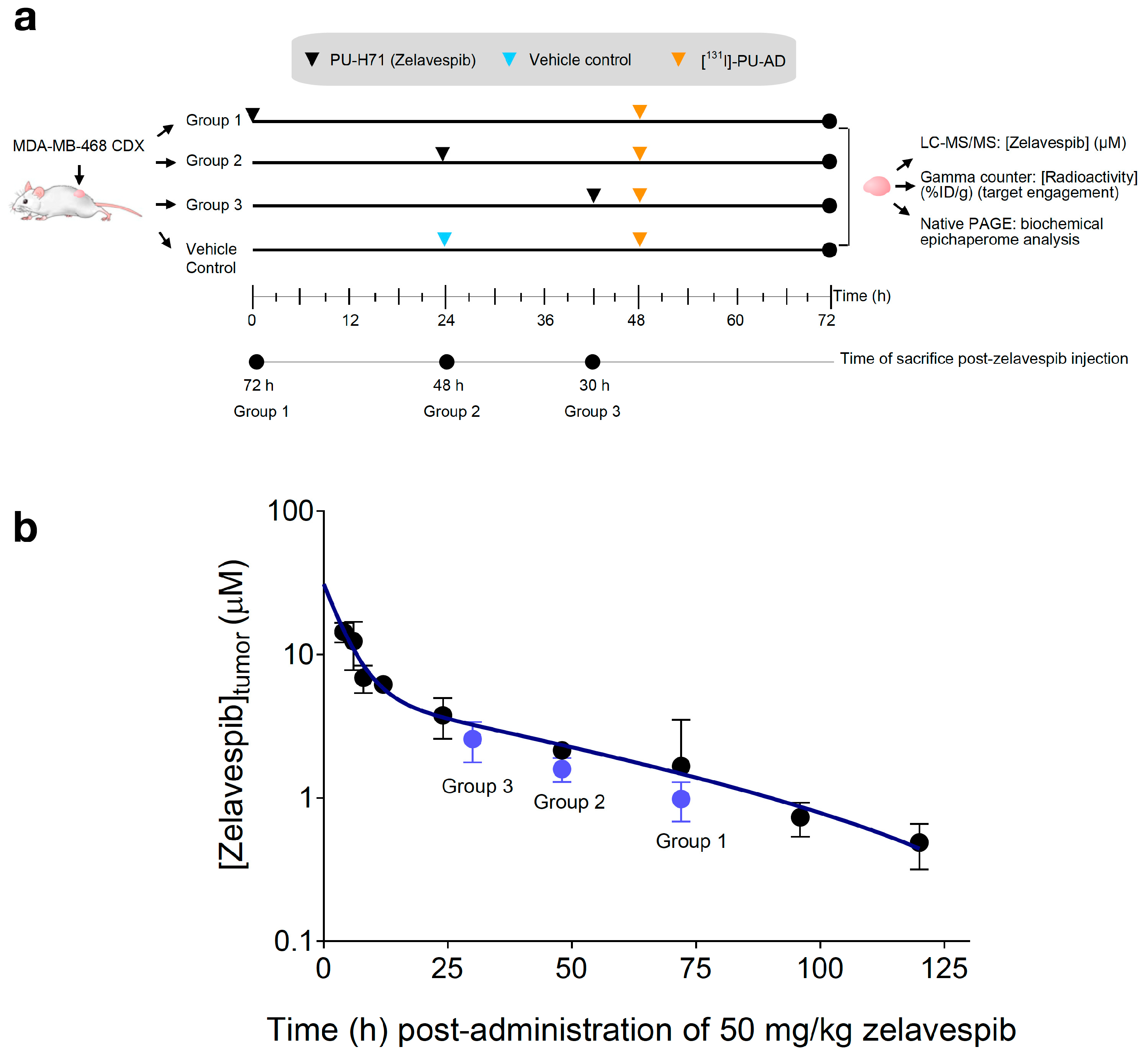 Biomedicines 11 02599 g002