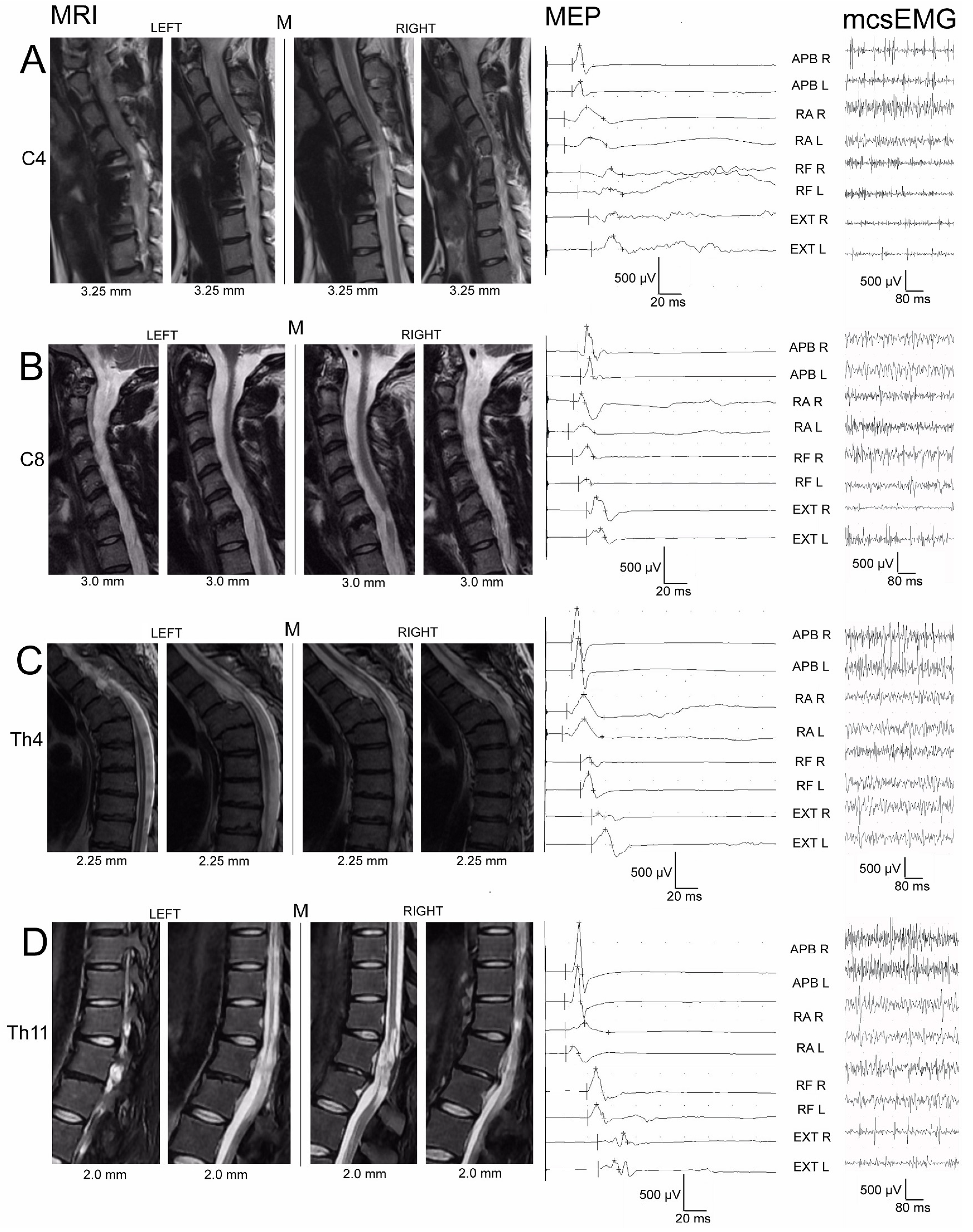 Biomedicines 11 02602 g002
