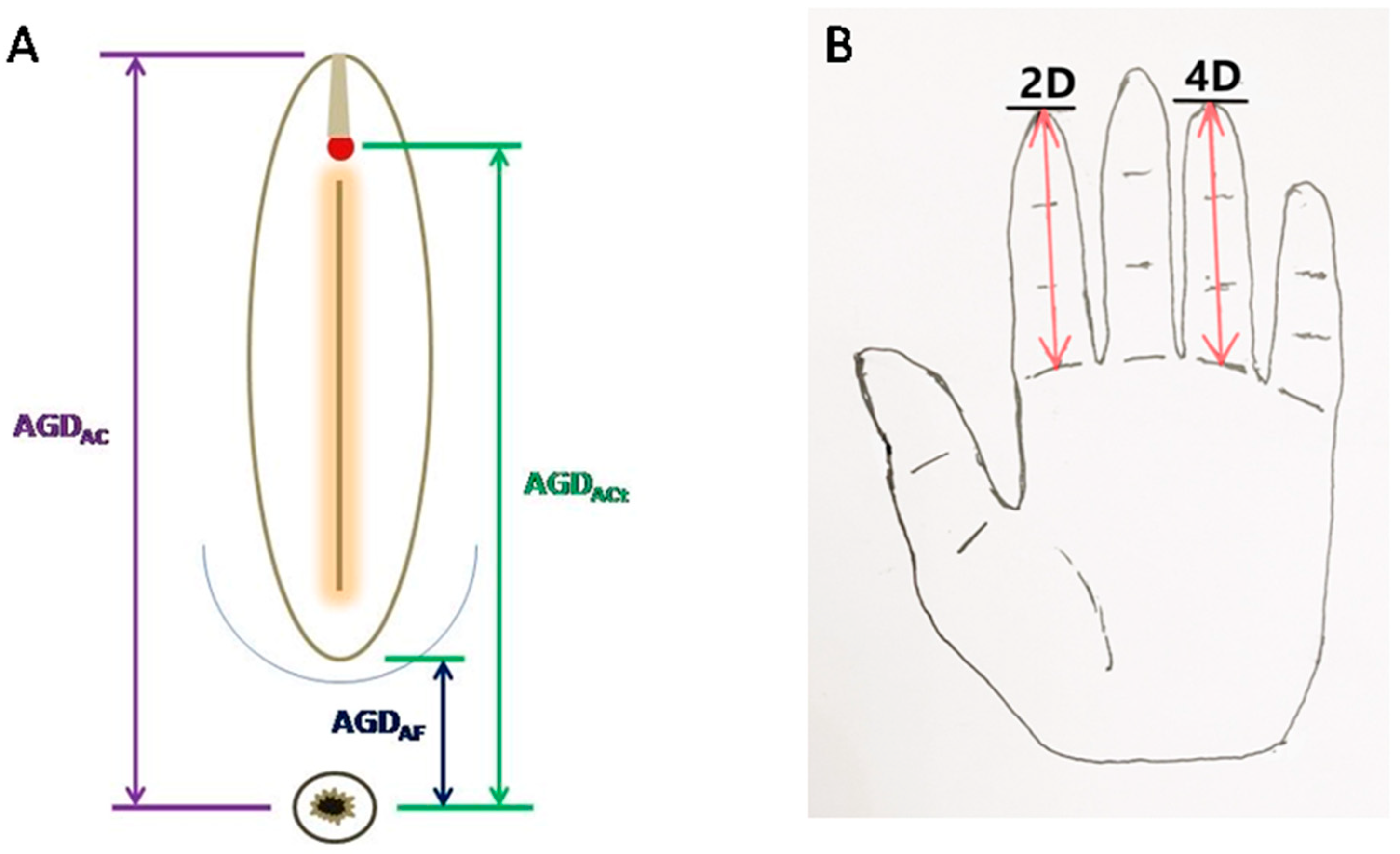 Biomedicines 11 02618 g001